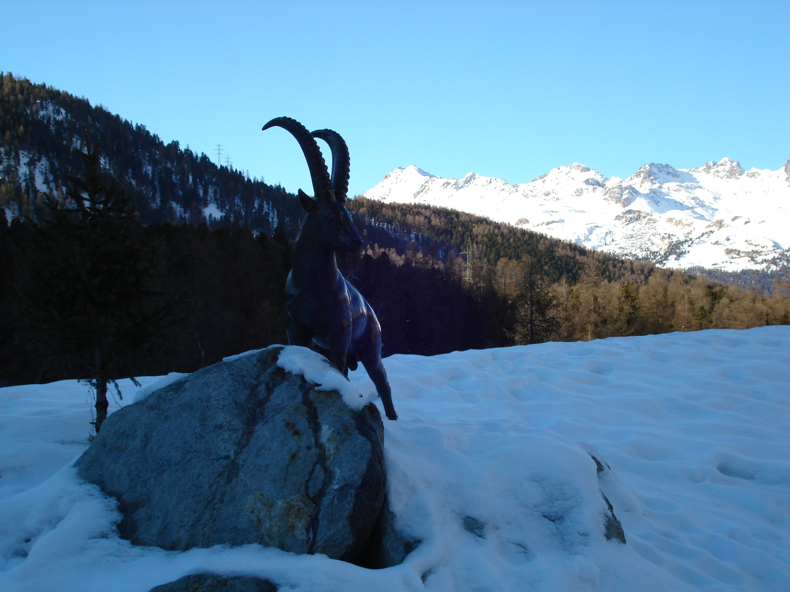 รูปถ่าย สวิสเซอร์แลนด์(Switzerland) ปองเทรซีน่า(Pontresina) 2007-01 3