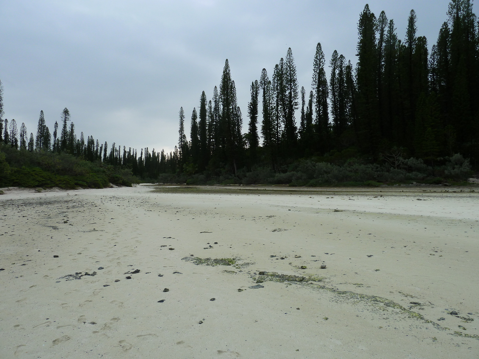 รูปถ่าย นิวแคลิโดเนีย(New Caledonia) เกาะต้นสน(Ile des pins) อ่าวโอโร(Oro Bay) 2010-05 98