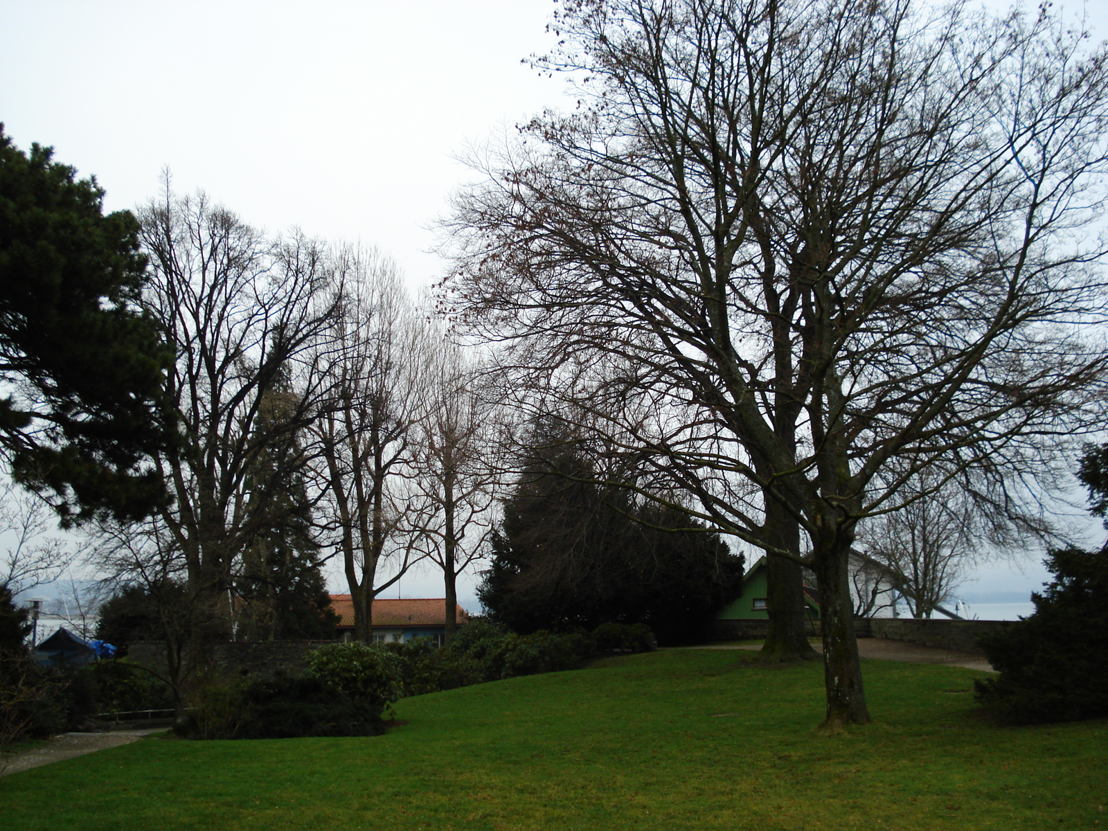 รูปถ่าย เยอรมนี(Germany) ลินโด(Lindau) 2007-01 37