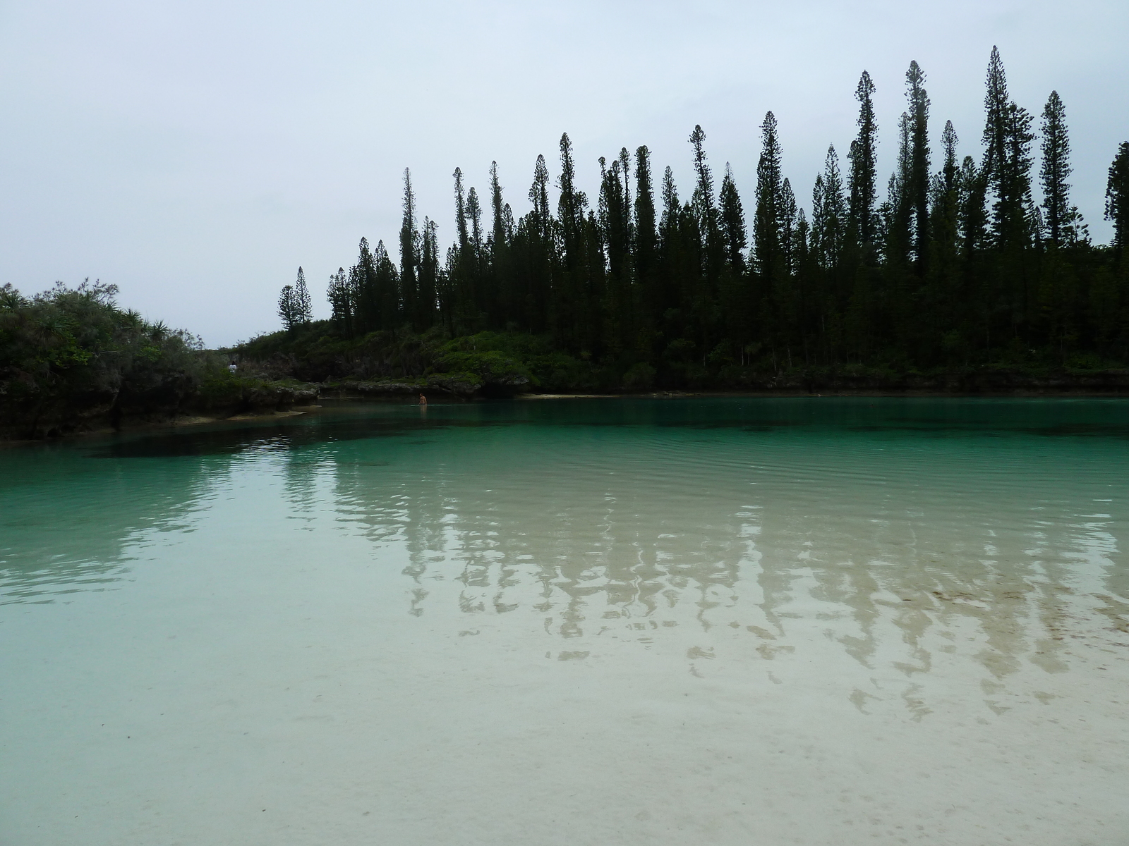 รูปถ่าย นิวแคลิโดเนีย(New Caledonia) เกาะต้นสน(Ile des pins) อ่าวโอโร(Oro Bay) 2010-05 80