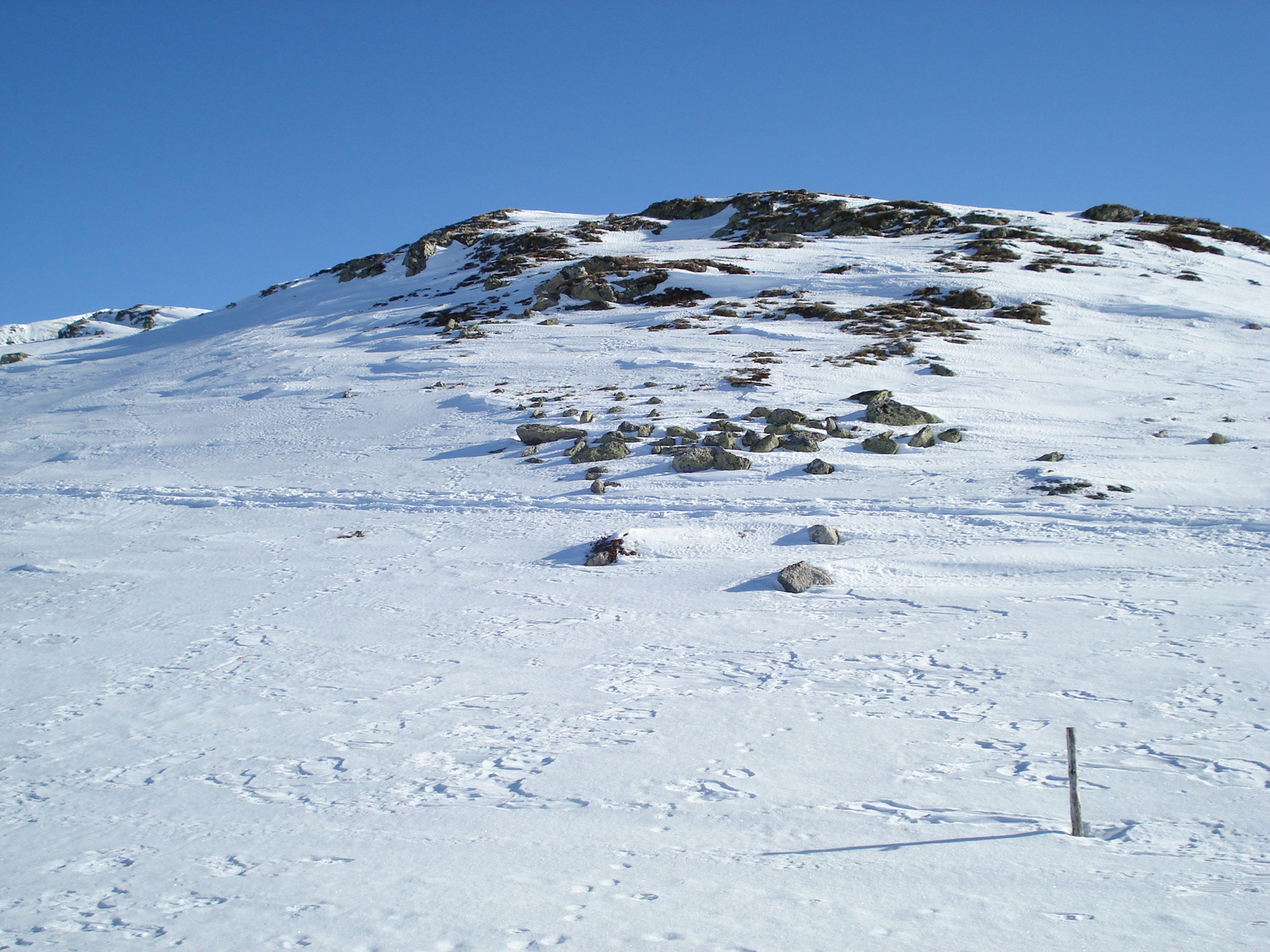 รูปถ่าย สวิสเซอร์แลนด์(Switzerland) มุตตัสมูรากล์(Muottas Muragl) 2007-01 48