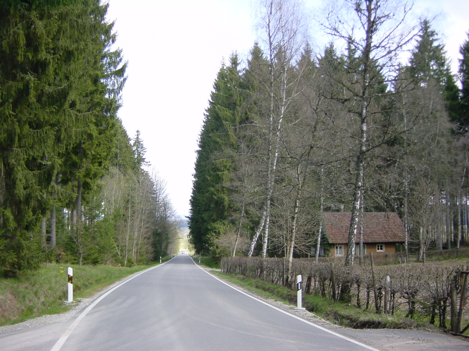 รูปถ่าย เยอรมนี(Germany) ป่าสนเขา(Black Forest) 2002-04 6