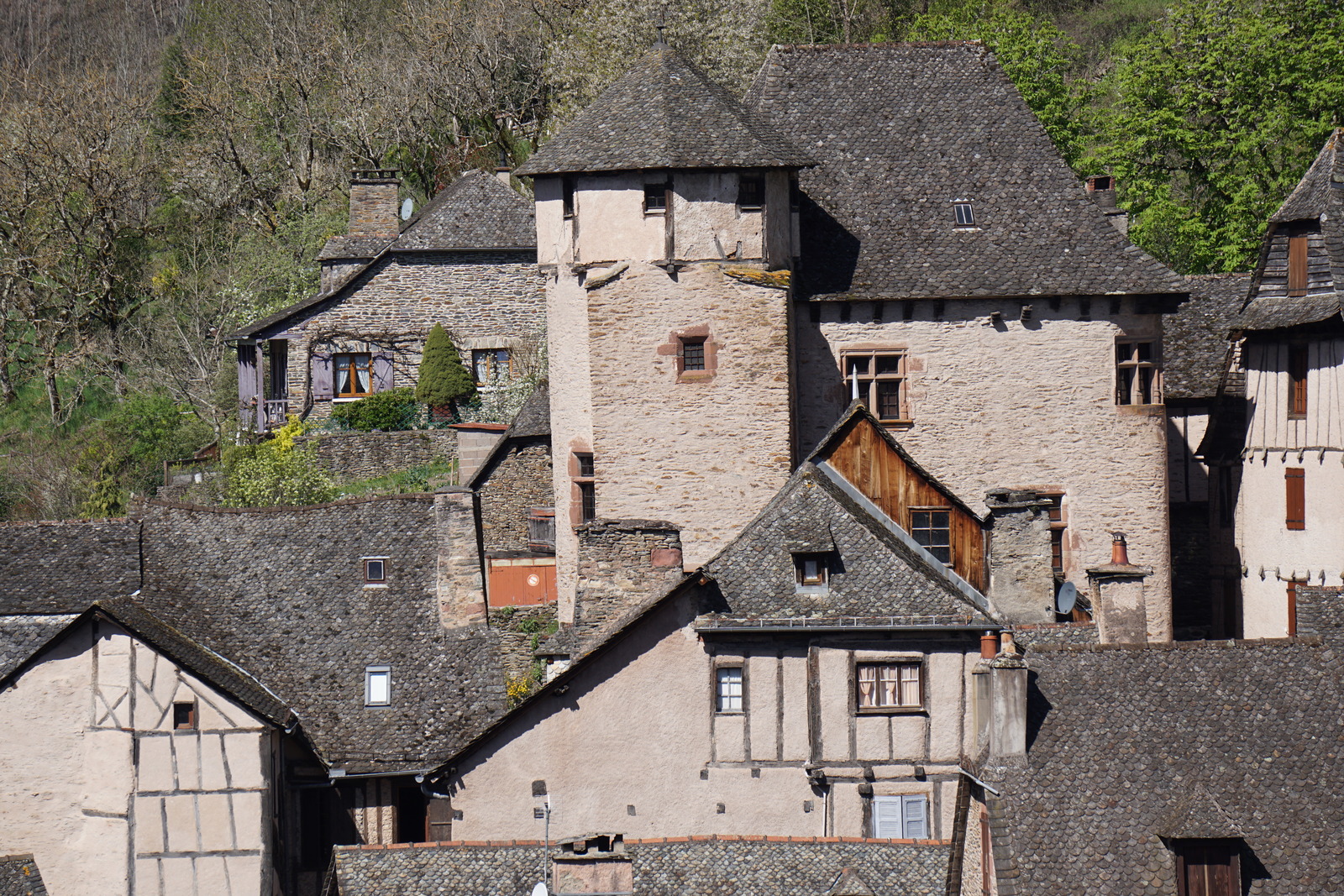 รูปถ่าย ฝรั่งเศส(France) กงก์(Conques) โบสถ์แซ็งต์-ฟัว เดอ กงก์(Abbatiale Sainte-Foy de Conques) 2018-04 10