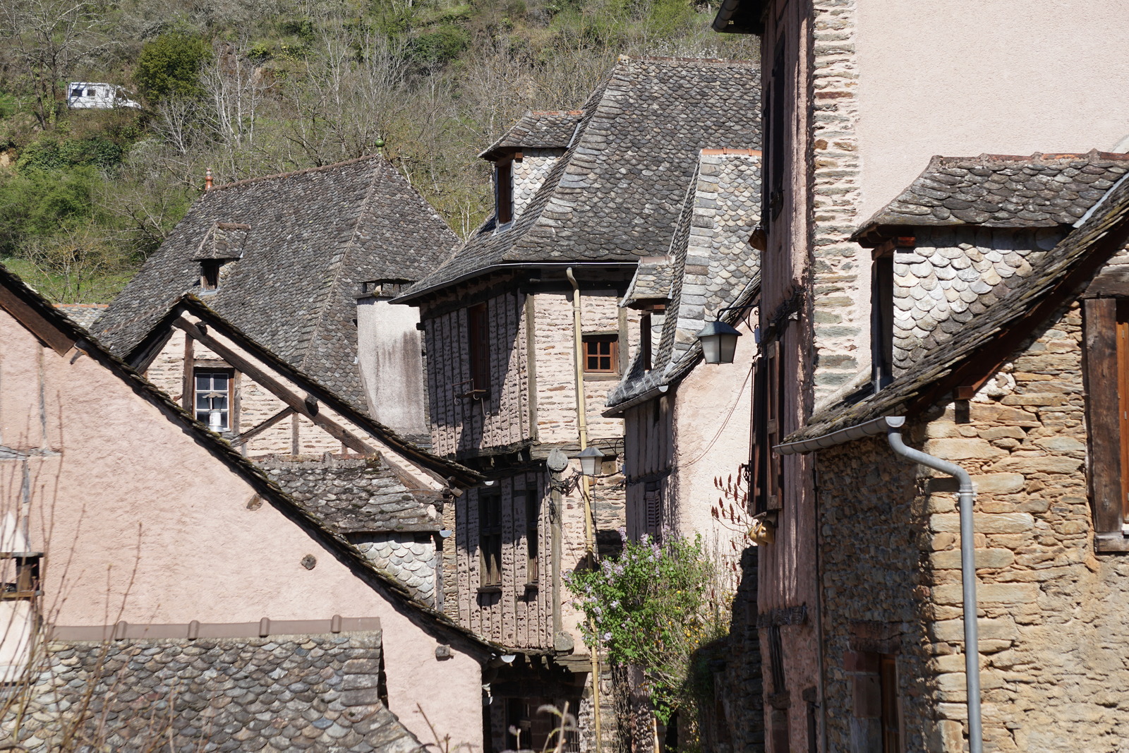 รูปถ่าย ฝรั่งเศส(France) กงก์(Conques) โบสถ์แซ็งต์-ฟัว เดอ กงก์(Abbatiale Sainte-Foy de Conques) 2018-04 4