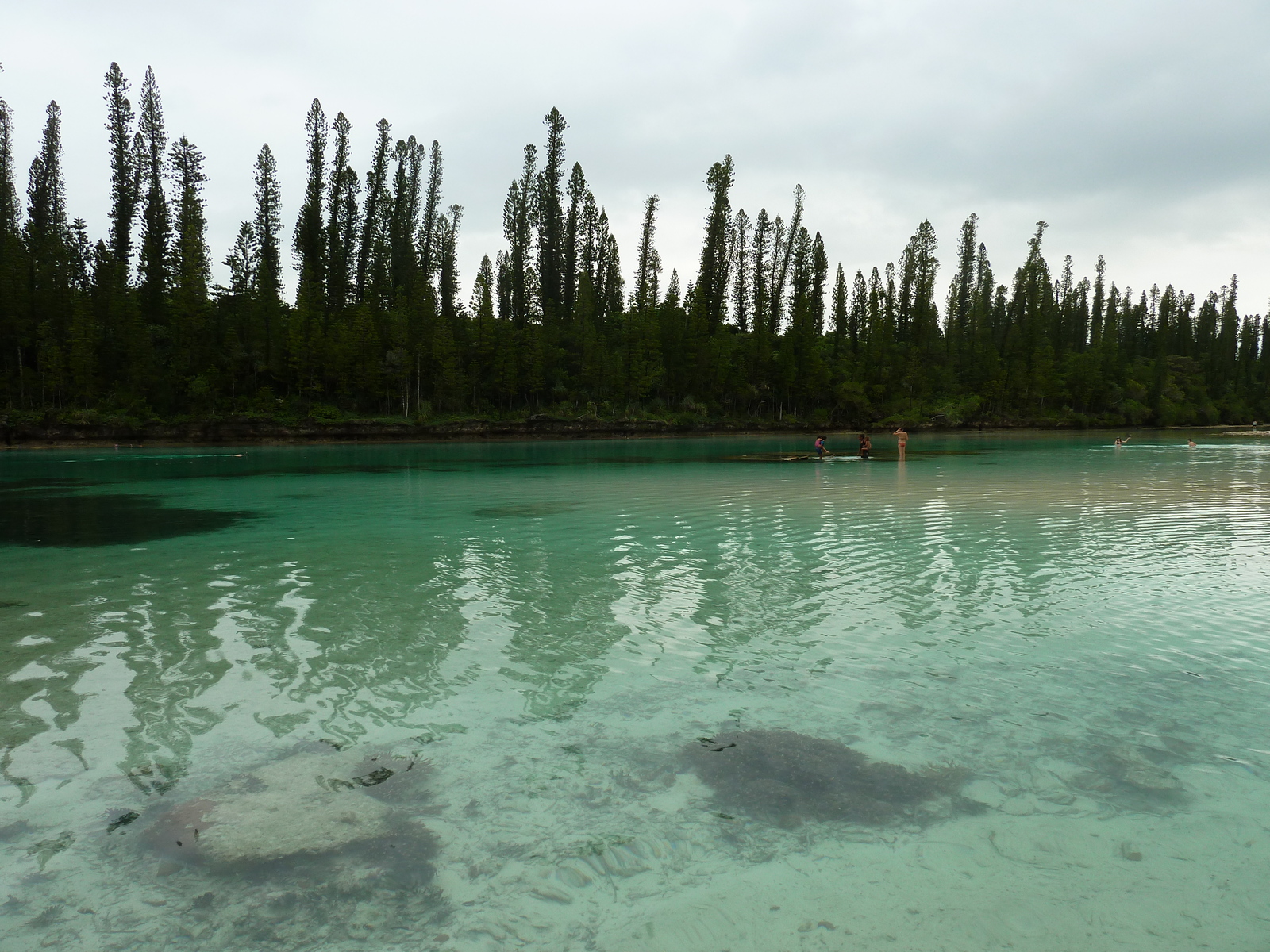 รูปถ่าย นิวแคลิโดเนีย(New Caledonia) เกาะต้นสน(Ile des pins) อ่าวโอโร(Oro Bay) 2010-05 32