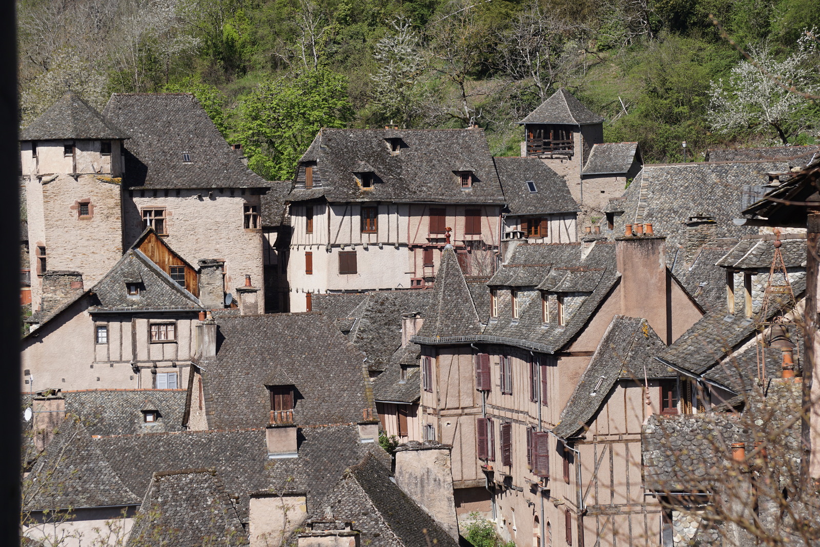 รูปถ่าย ฝรั่งเศส(France) กงก์(Conques) โบสถ์แซ็งต์-ฟัว เดอ กงก์(Abbatiale Sainte-Foy de Conques) 2018-04 6