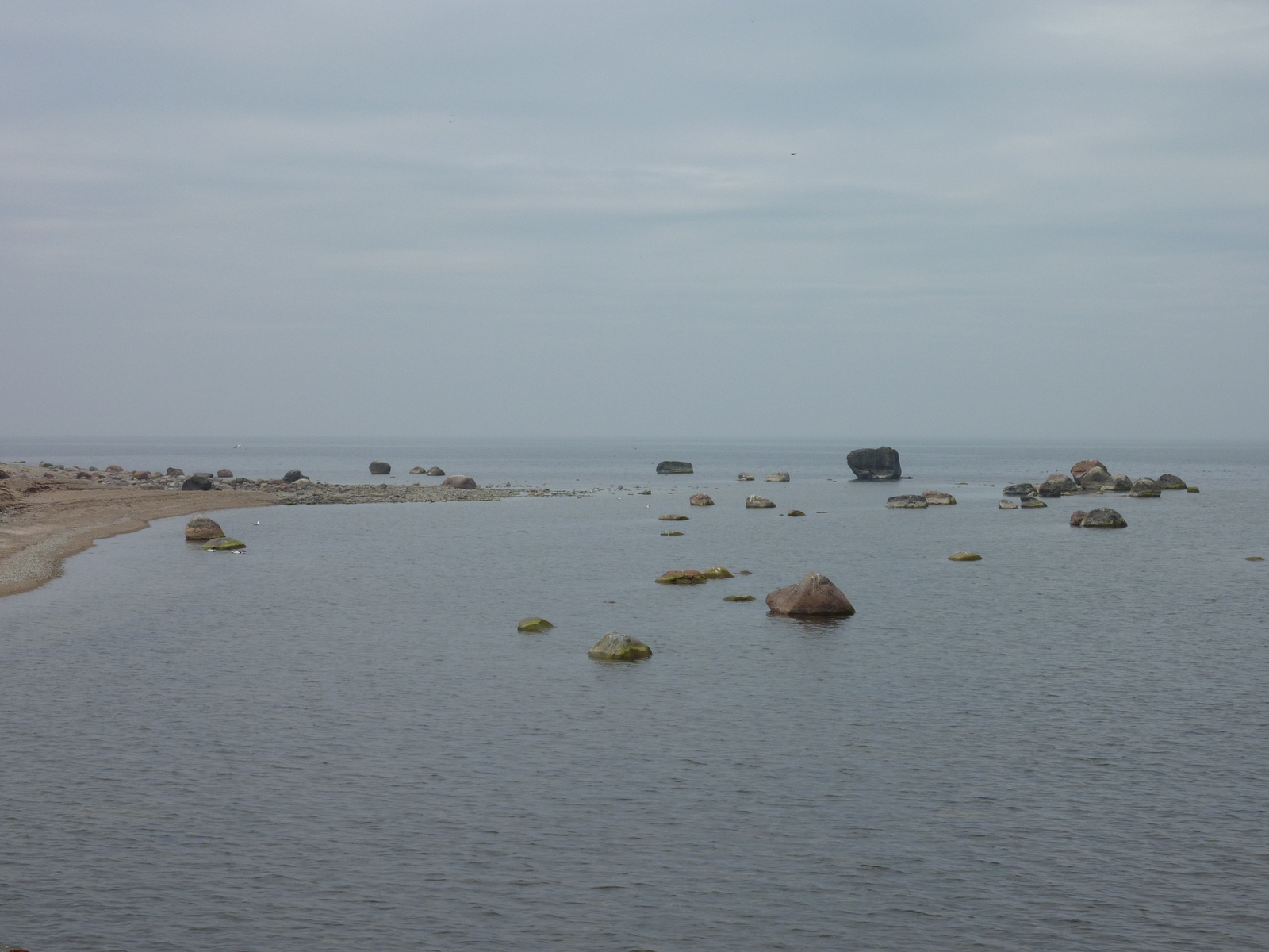 รูปถ่าย เอสโตเนีย(Estonia) ถนนจากทาลลินน์ไปฮาปซาลู(Tallinn to Haapsalu road) 2009-04 7