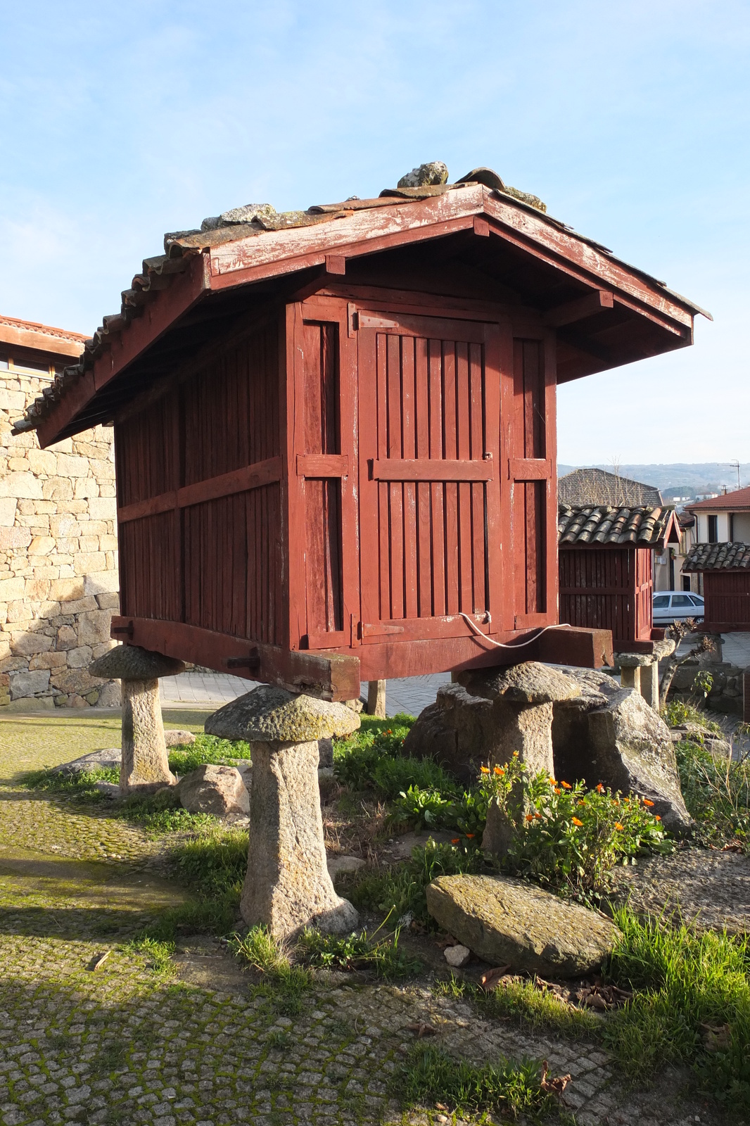 รูปถ่าย สเปน(Spain) เซลาโนวา(Celanova) 2013-01 23
