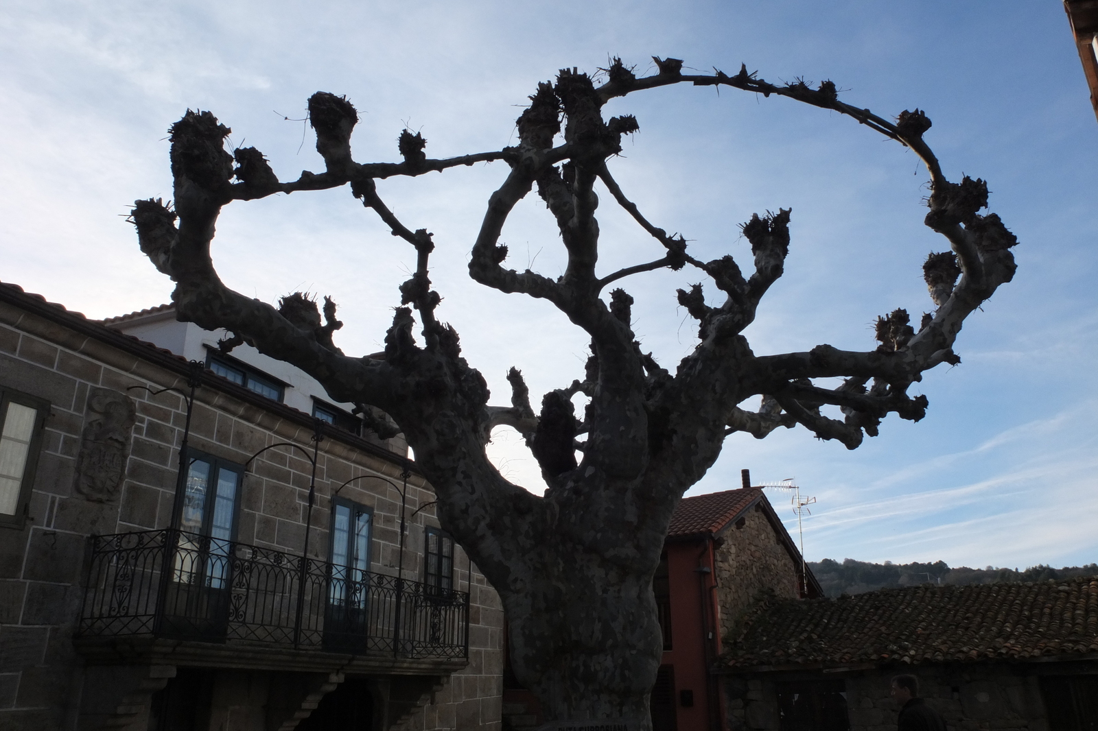 รูปถ่าย สเปน(Spain) เซลาโนวา(Celanova) 2013-01 20
