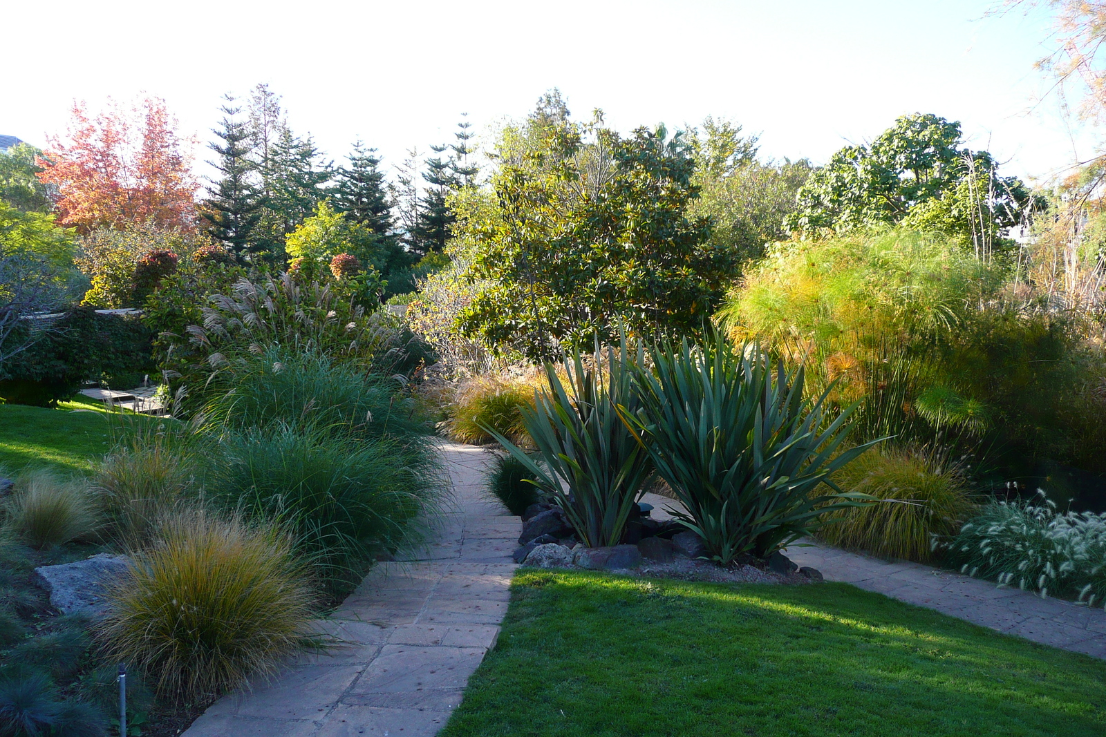 รูปถ่าย ฝรั่งเศส(France) นีส(Nice) สวนฟีนิกซ์(Phoenix Parc) 2007-10 13