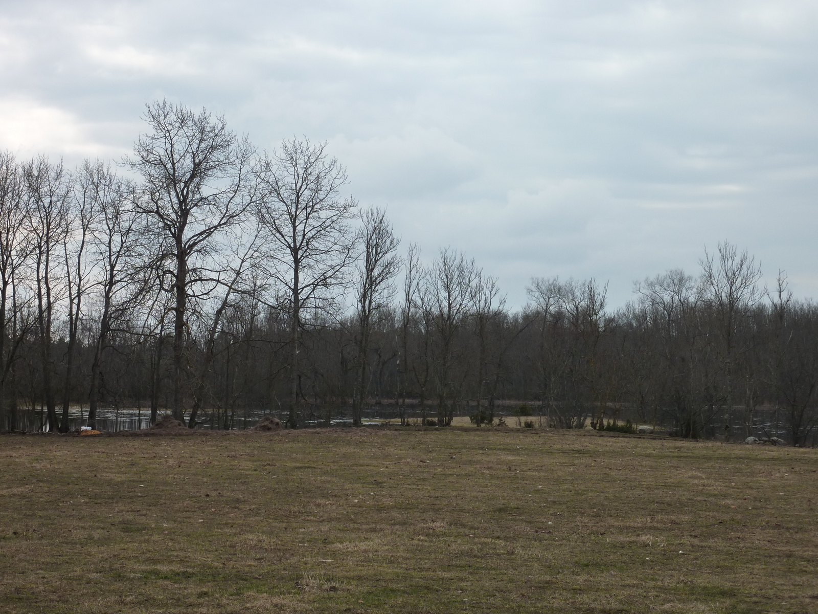 รูปถ่าย เอสโตเนีย(Estonia) ถนนจากทาลลินน์ไปฮาปซาลู(Tallinn to Haapsalu road) 2009-04 35