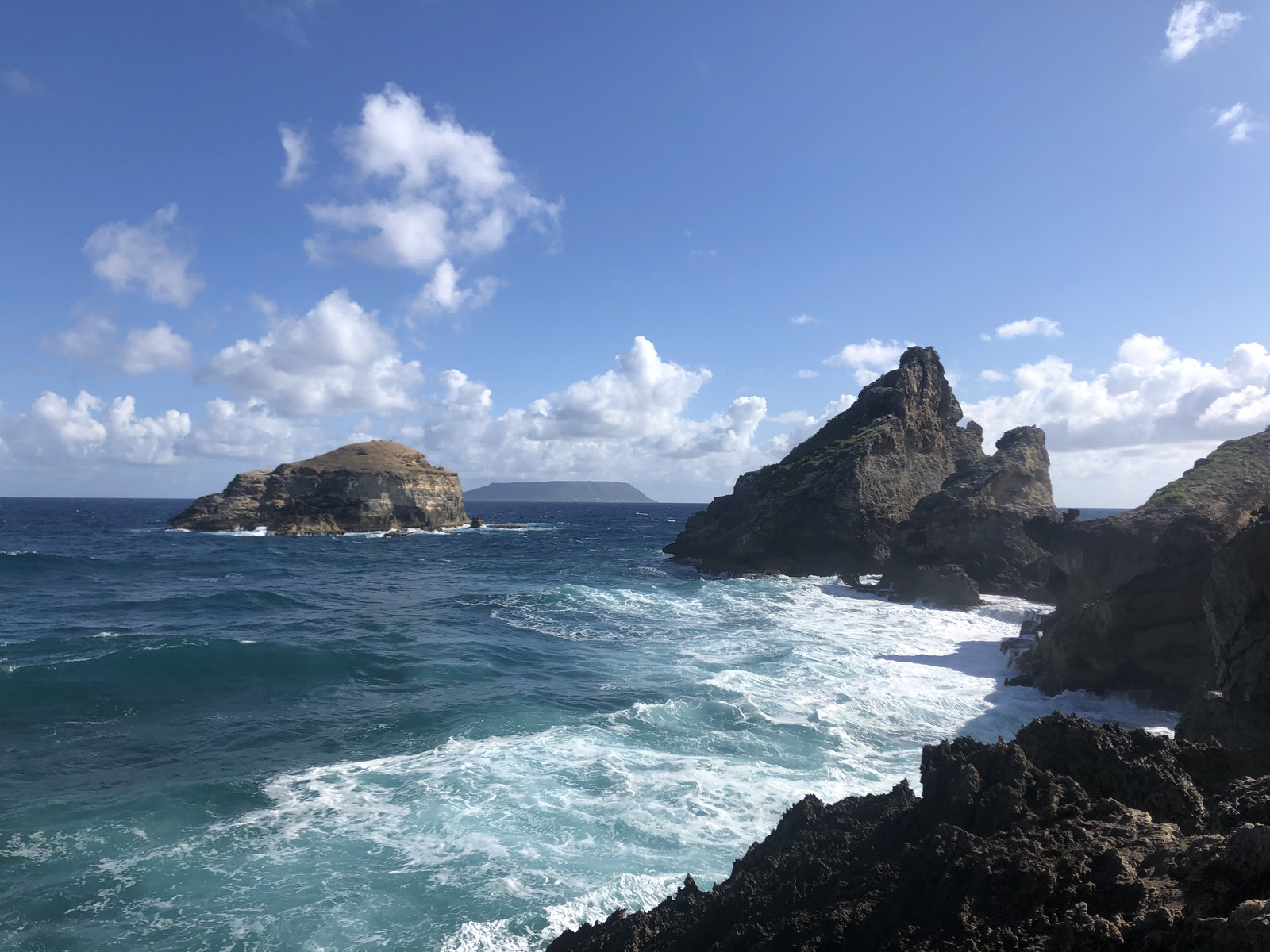 รูปถ่าย กวาเดอลูป(Guadeloupe) แหลมคาสเซิลพอยต์(Castle Point) 2021-02 160