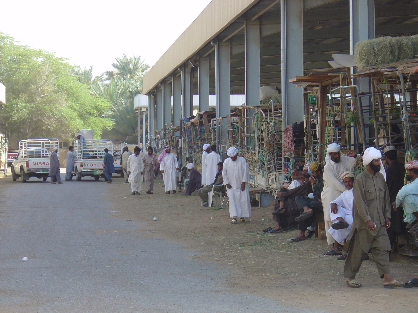 รูปถ่าย สหรัฐอาหรับเอมิเรตส์(United Arab Emirates) อาเลอิน(Al Ain) 2005-03 67