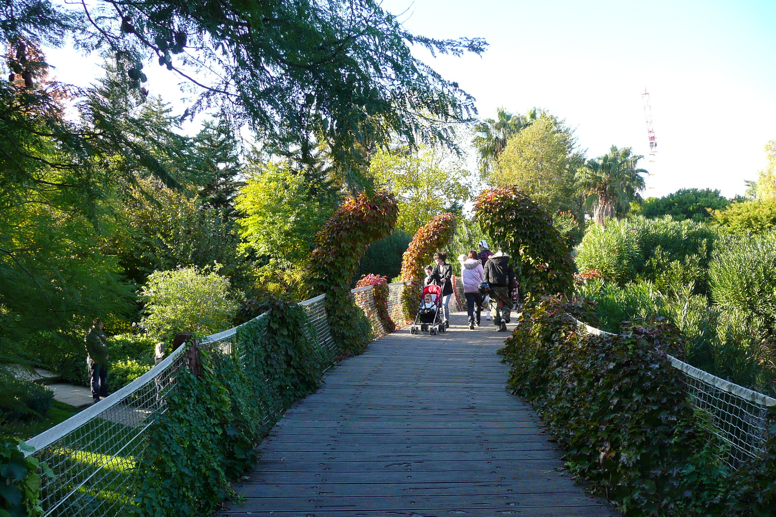 รูปถ่าย ฝรั่งเศส(France) นีส(Nice) สวนฟีนิกซ์(Phoenix Parc) 2007-10 26