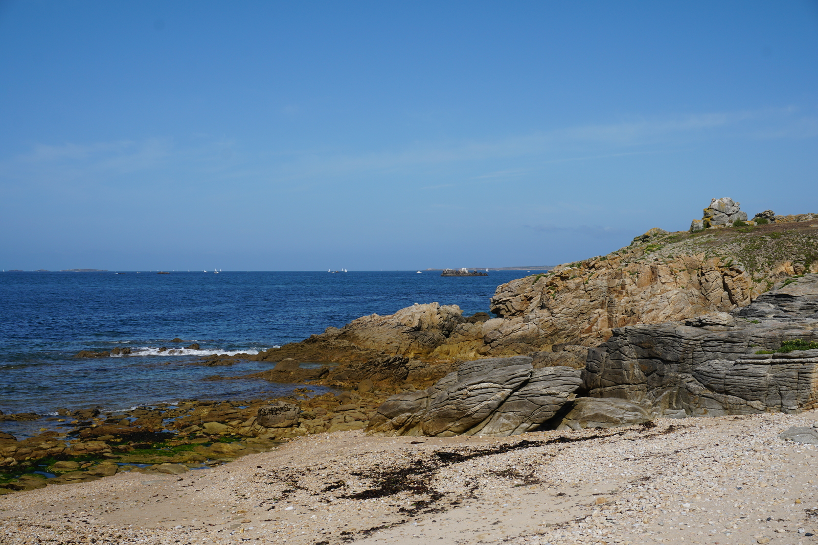 รูปถ่าย ฝรั่งเศส(France) เกาะเอดิก(Hoedic) 2016-08 102