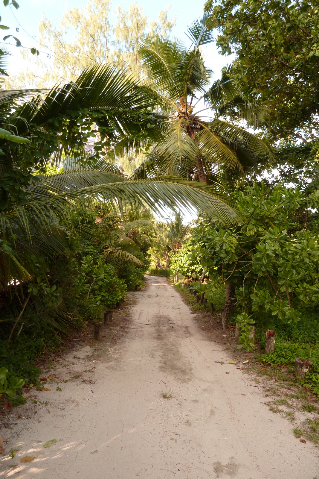 รูปถ่าย เซเชลส์(Seychelles) อ่าวอ็องส์ลาซิโอ(Anse Lazio) 2011-10 58
