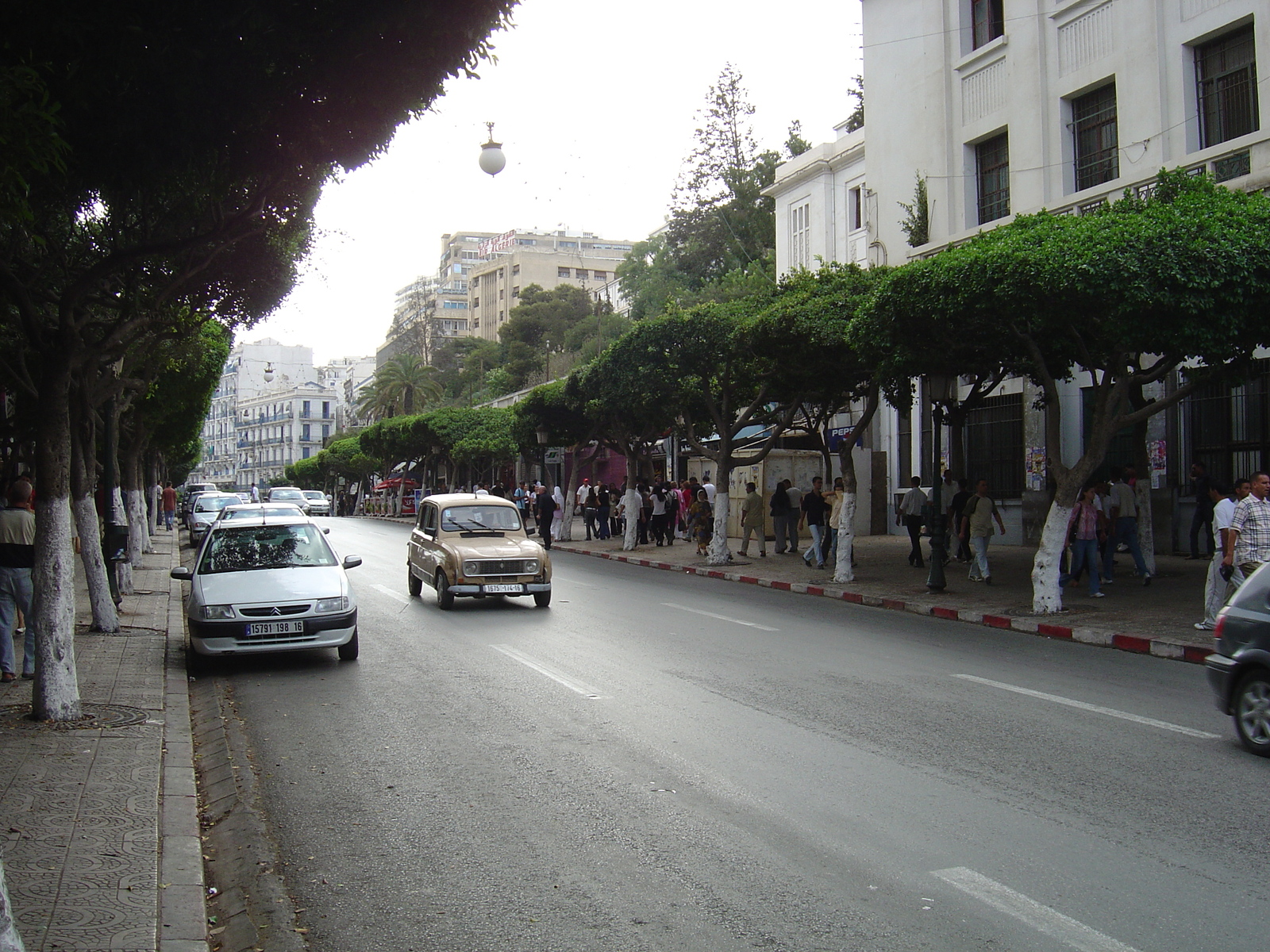 รูปถ่าย แอลจีเรีย(Algeria) แอลเจียร์(Algiers) 2004-09 46