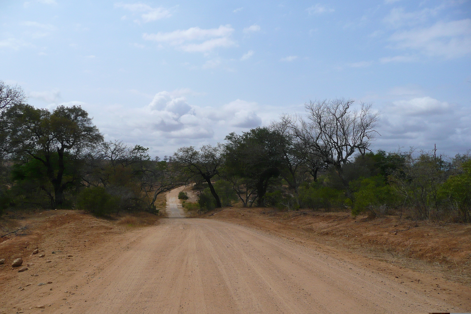 รูปถ่าย แอฟริกาใต้(South Africa) อุทยานแห่งชาติครูเกอร์(Kruger National Park) ถนนเลียบแม่น้ำครอกโคไดล์(Crocodile River road) 2008-09 56