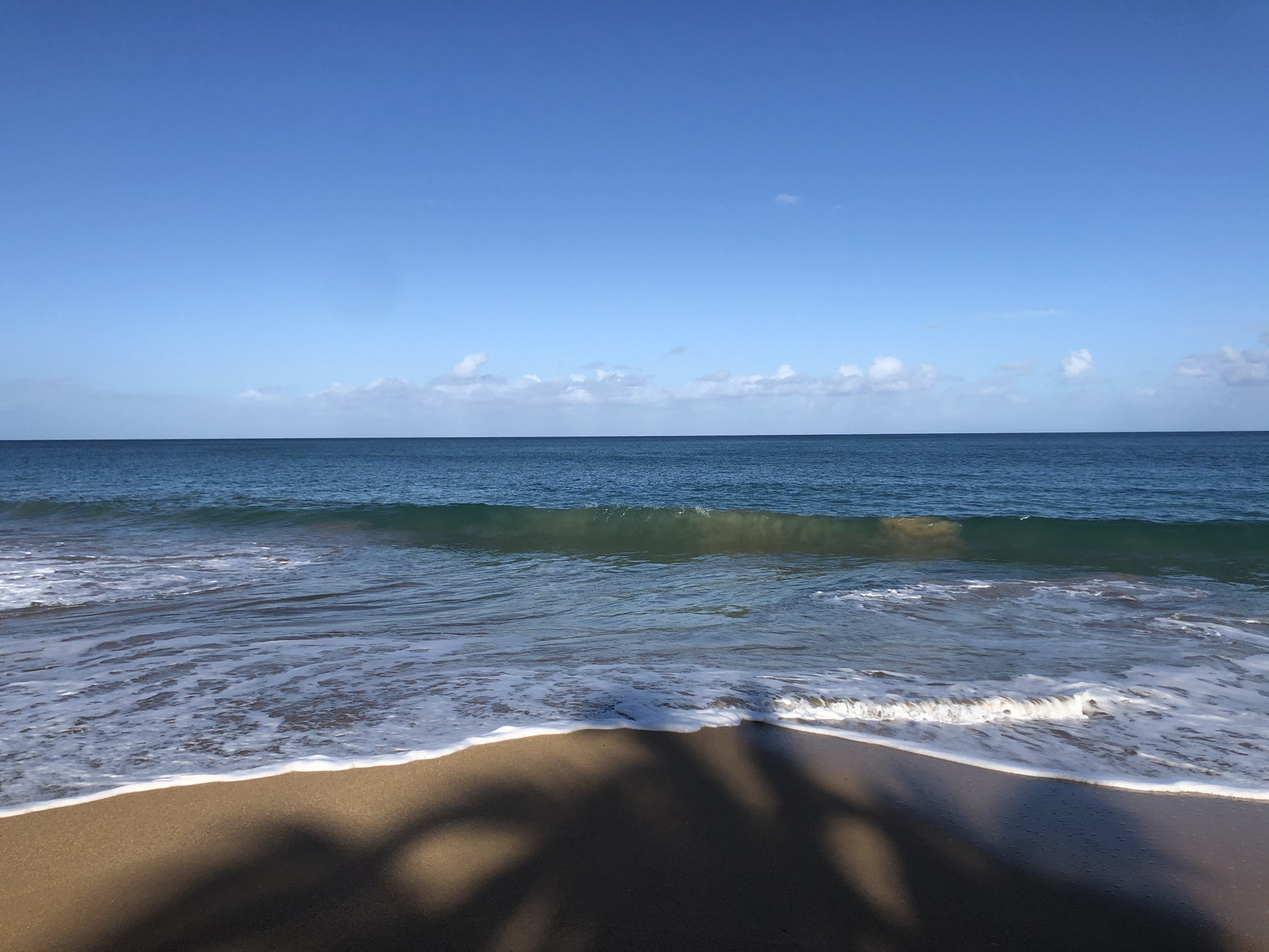 รูปถ่าย กวาเดอลูป(Guadeloupe) หาดลาแปร์ล(La Perle Beach) 2021-02 99