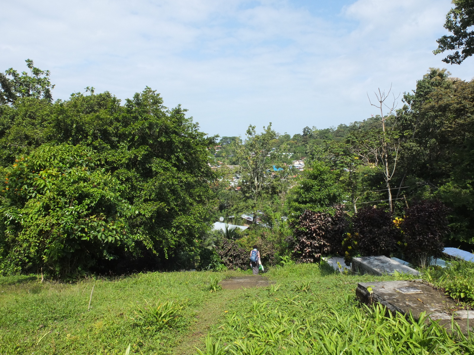 รูปถ่าย ปานามา(Panama) เกาะบาสติเมนโตส(Bastimentos) 2015-03 23