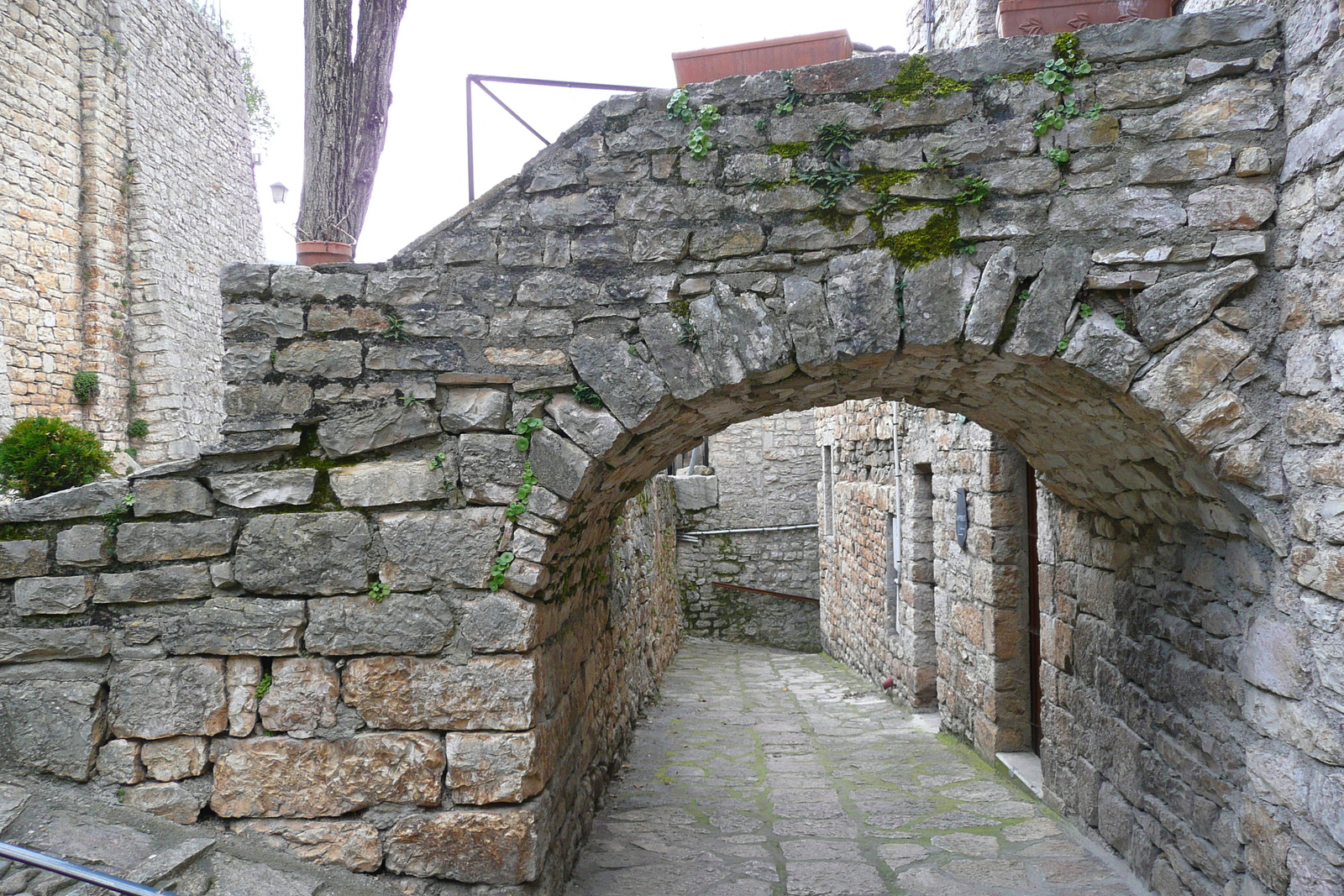 รูปถ่าย ฝรั่งเศส(France) แซ็งเตนีมี(Sainte Enimie) 2008-04 52
