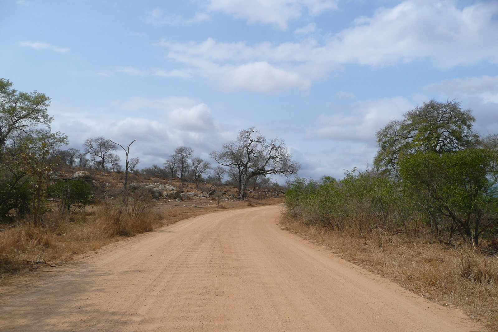 รูปถ่าย แอฟริกาใต้(South Africa) อุทยานแห่งชาติครูเกอร์(Kruger National Park) ถนนเลียบแม่น้ำครอกโคไดล์(Crocodile River road) 2008-09 57