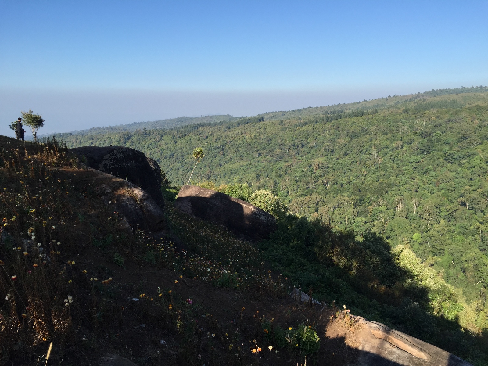 รูปถ่าย ไทย(Thailand) อุทยานแห่งชาติภูหินร่องกล้า(Phu Hin Rong Kla National Park) 2014-12 276