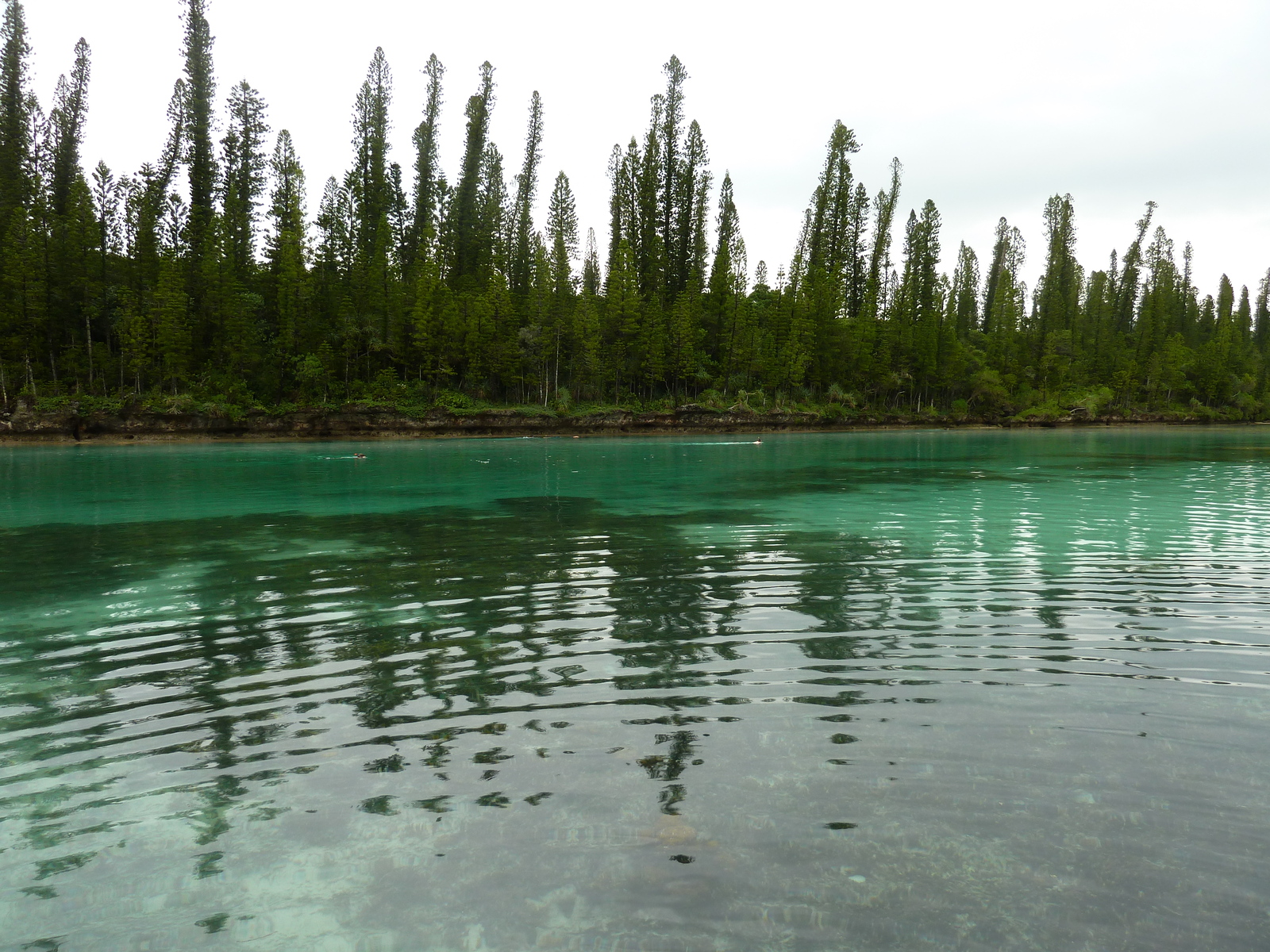 รูปถ่าย นิวแคลิโดเนีย(New Caledonia) เกาะต้นสน(Ile des pins) อ่าวโอโร(Oro Bay) 2010-05 88