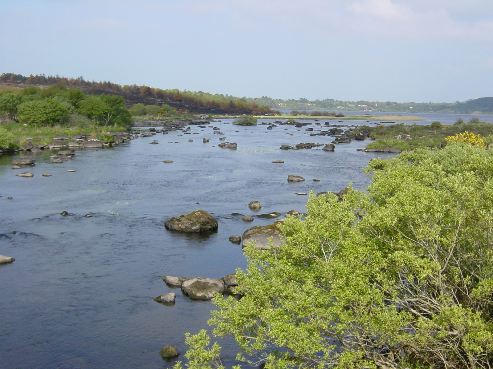 รูปถ่าย ไอร์แลนด์(Ireland) เคอร์รี่(Kerry) ทะเลสาบคารา(Caragh Lake) 2004-05 39