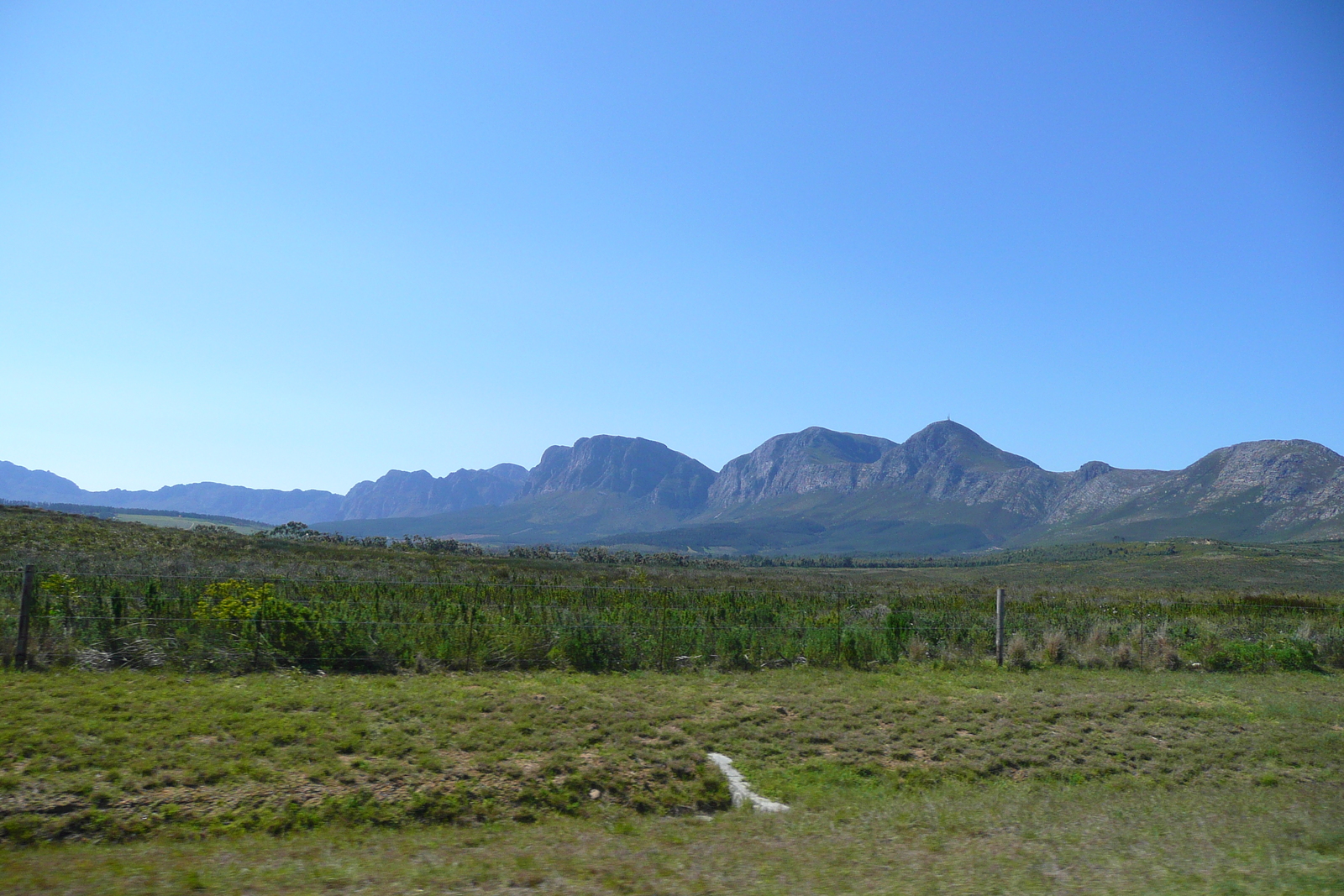 รูปถ่าย แอฟริกาใต้(South Africa) ถนนจากเคปทาวน์ไปเฮอร์มานัส(Cape Town to Harmanus road) 2008-09 64