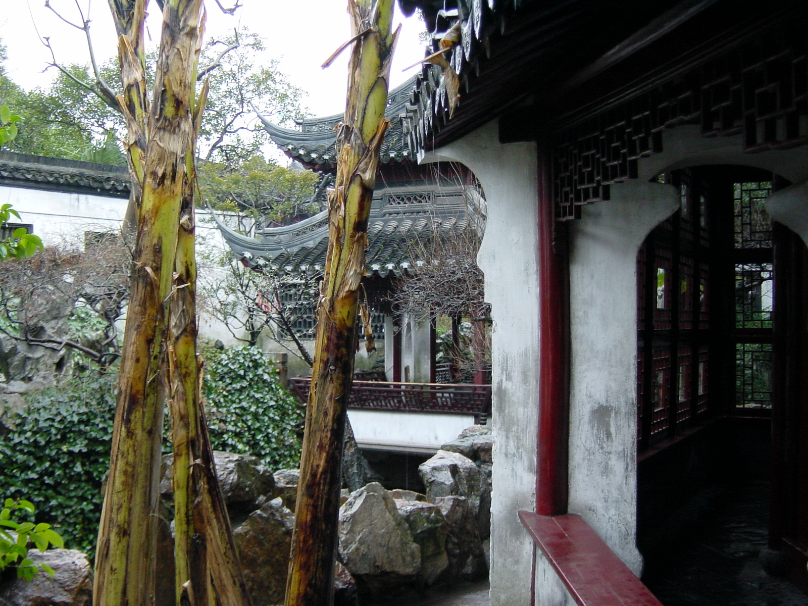 รูปถ่าย จีน(China) เซี่ยงไฮ้(Shanghai) 2002-01 224