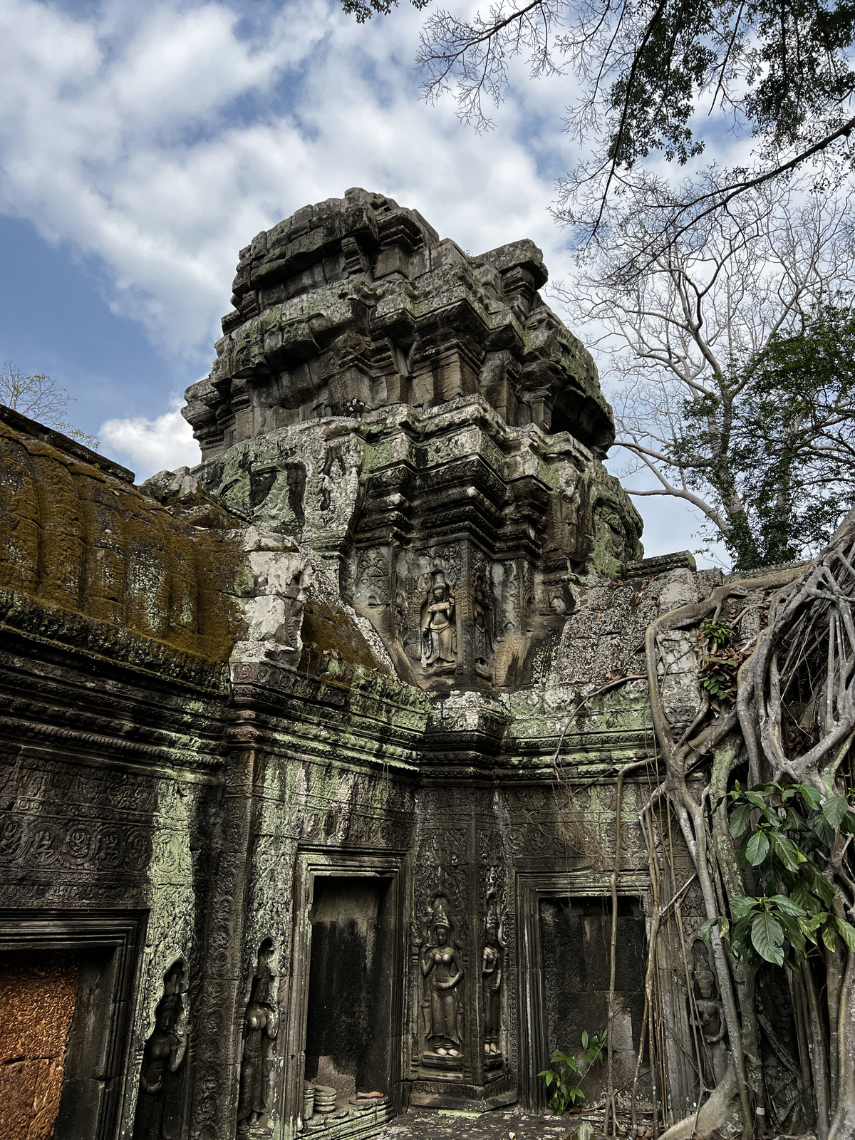 รูปถ่าย กัมพูชา(Cambodia) เสียมราฐ(Siem Reap) ปราสาทตาพรหม(Ta Prohm) 2023-01 60
