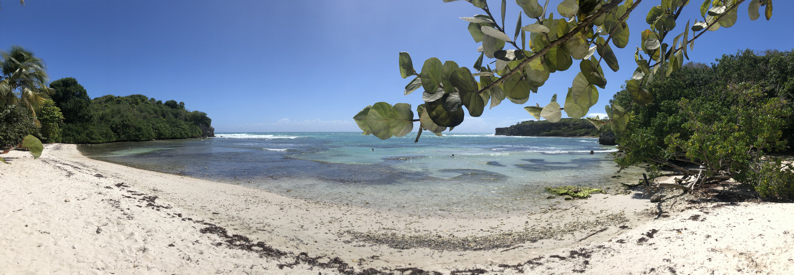 รูปถ่าย กวาเดอลูป(Guadeloupe) แหลมคาสเซิลพอยต์(Castle Point) 2021-02 3