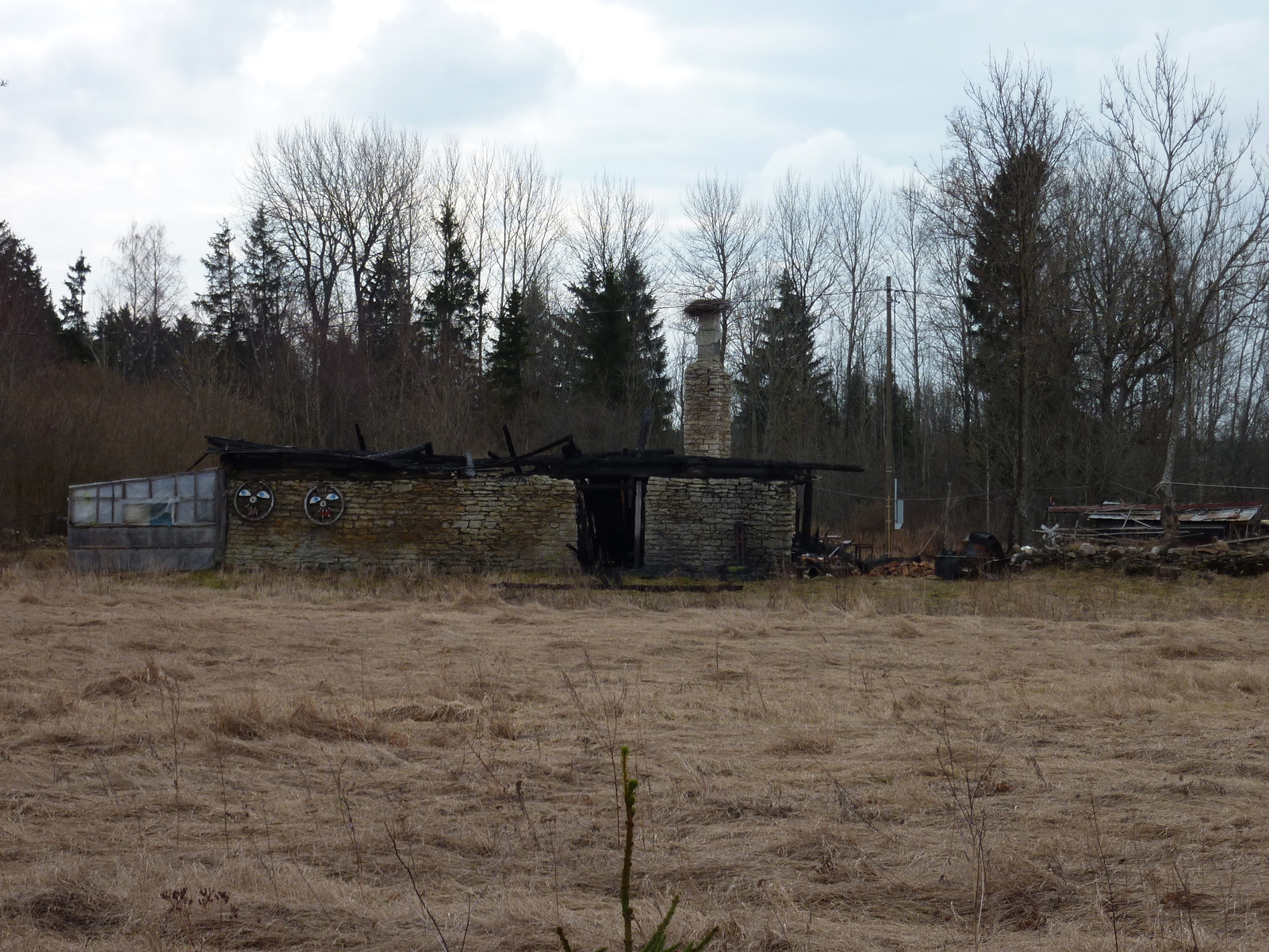 รูปถ่าย เอสโตเนีย(Estonia) ถนนจากทาลลินน์ไปฮาปซาลู(Tallinn to Haapsalu road) 2009-04 9