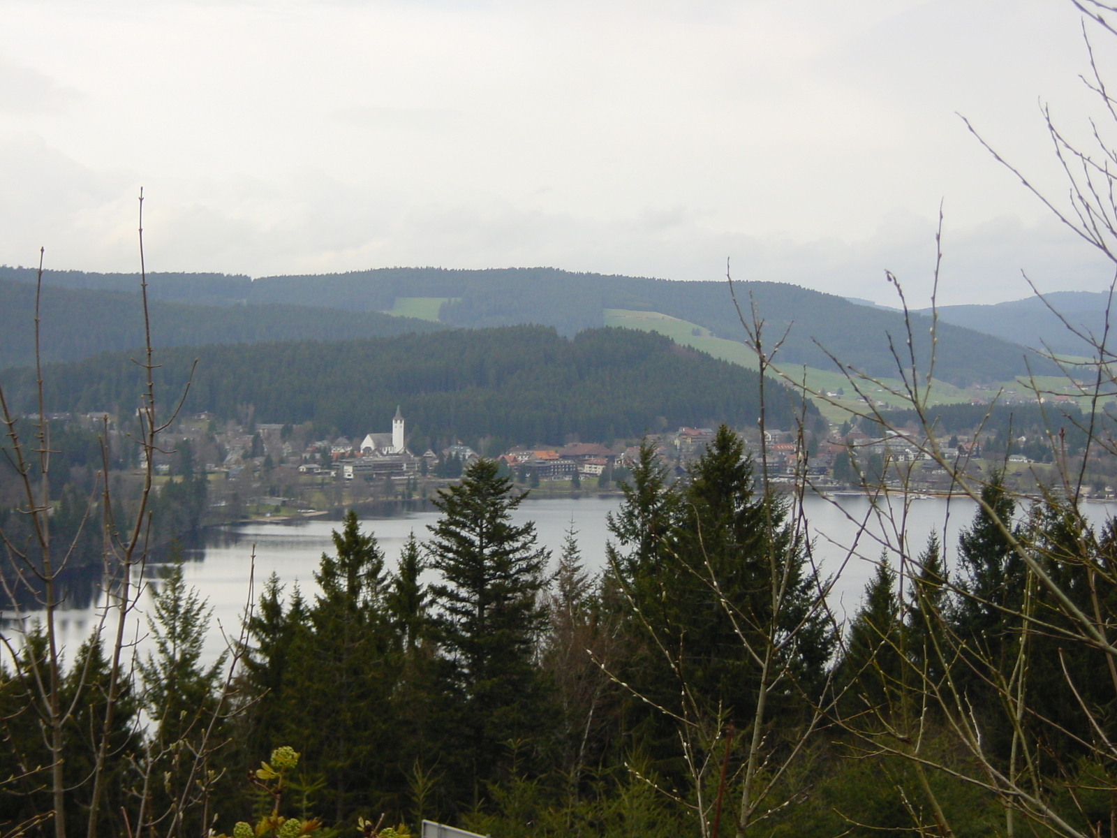 รูปถ่าย เยอรมนี(Germany) ป่าสนเขา(Black Forest) 2002-04 2