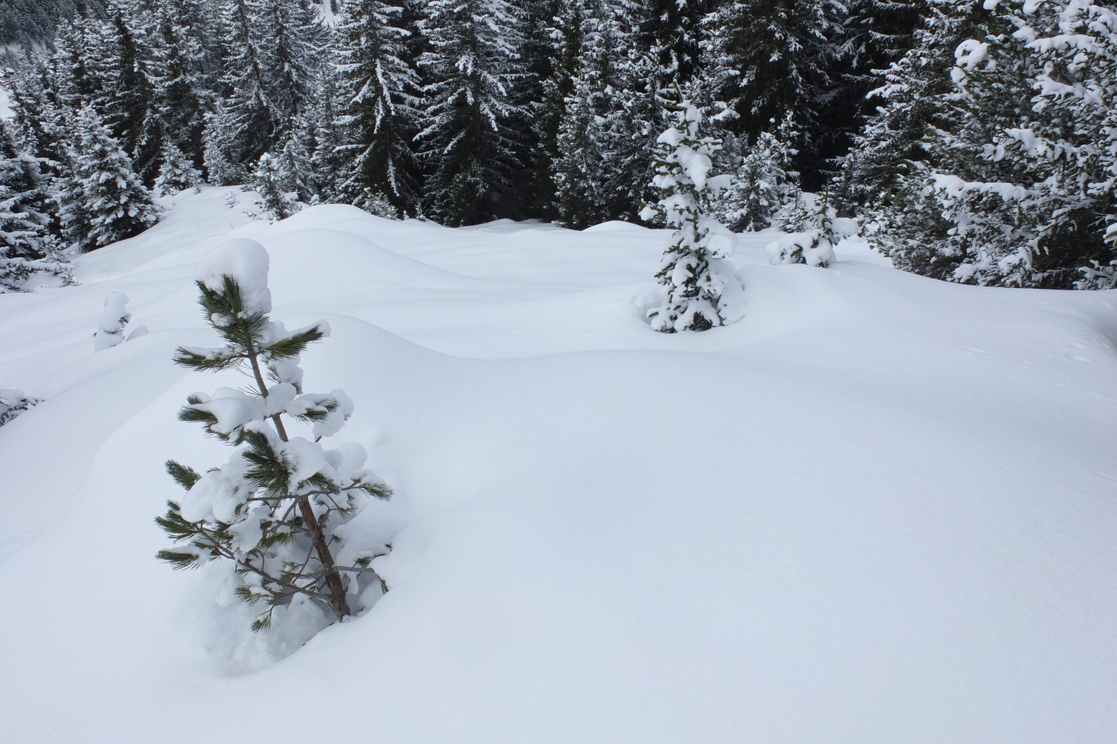 รูปถ่าย ฝรั่งเศส(France) เลทรัววาเล(Les 3 Vallees) 2013-03 252