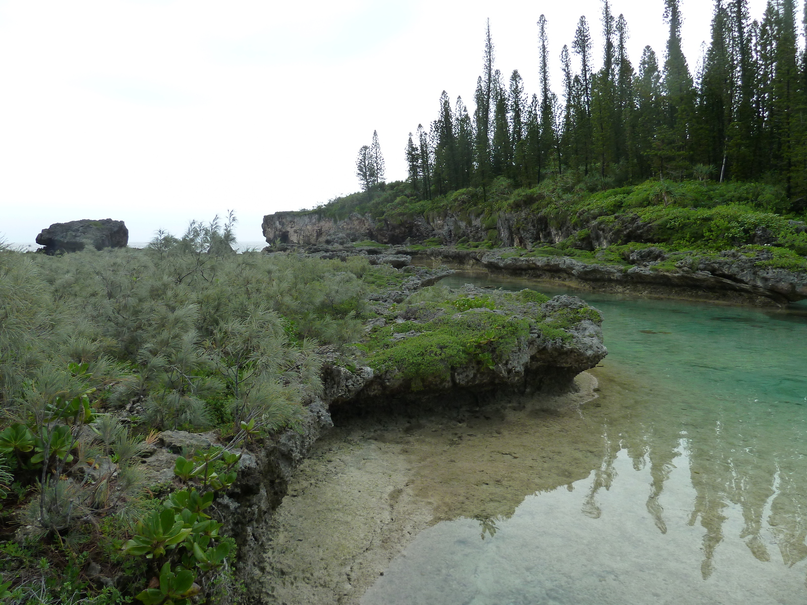 รูปถ่าย นิวแคลิโดเนีย(New Caledonia) เกาะต้นสน(Ile des pins) อ่าวโอโร(Oro Bay) 2010-05 9