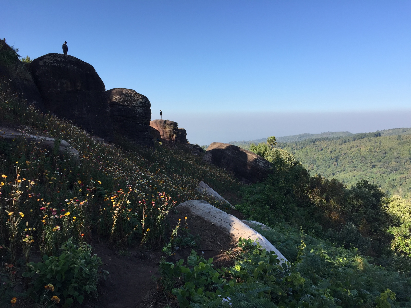 รูปถ่าย ไทย(Thailand) อุทยานแห่งชาติภูหินร่องกล้า(Phu Hin Rong Kla National Park) 2014-12 292
