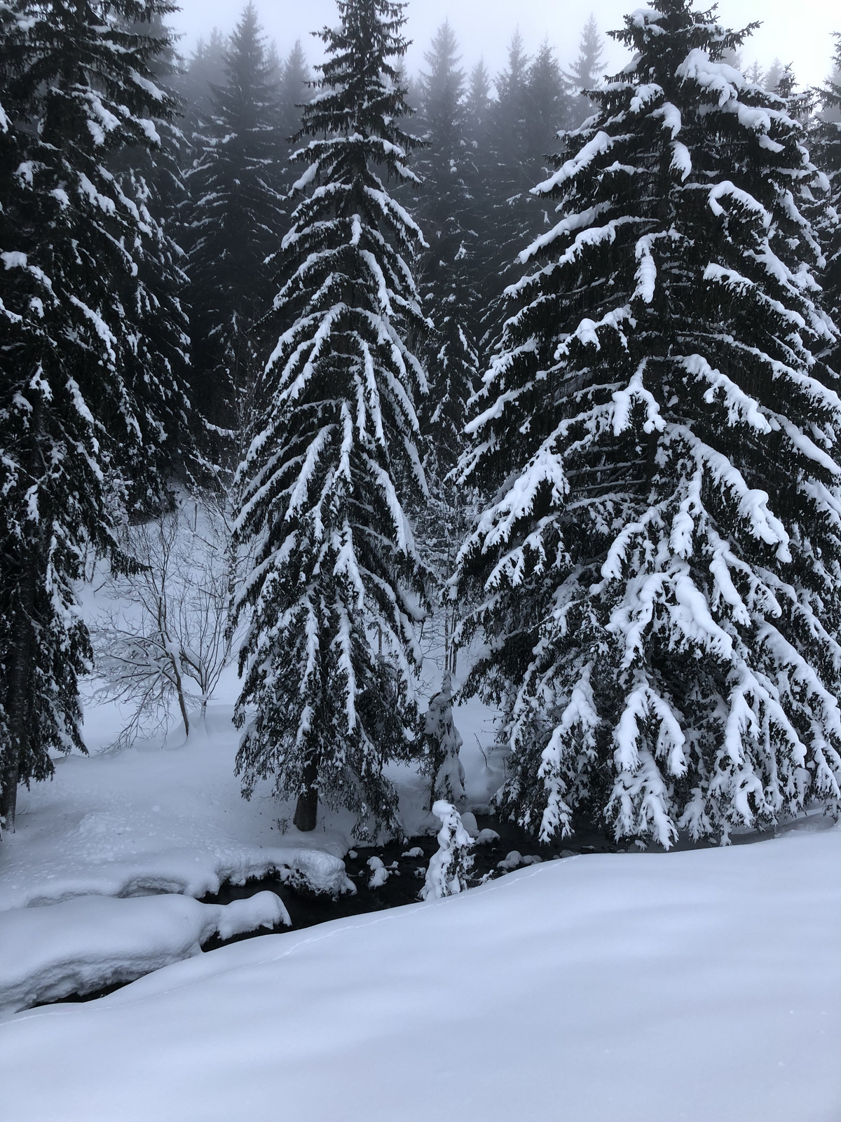 รูปถ่าย ฝรั่งเศส(France) ลากลูซา(La Clusaz) 2017-12 213