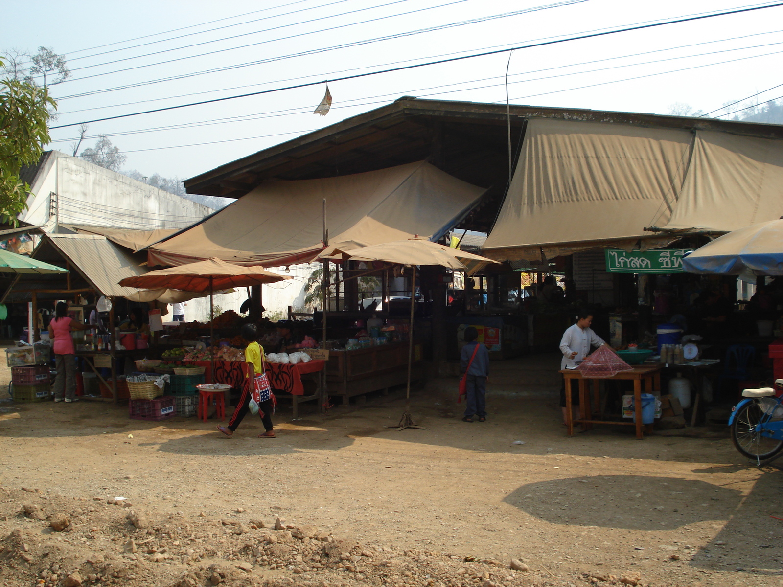 รูปถ่าย ไทย(Thailand) ปางมะผ้า(Pang Mapha) 2007-02 58