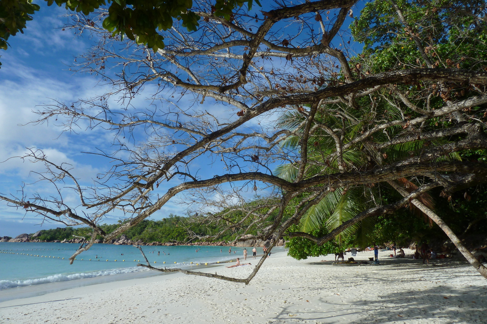 รูปถ่าย เซเชลส์(Seychelles) อ่าวอ็องส์ลาซิโอ(Anse Lazio) 2011-10 37