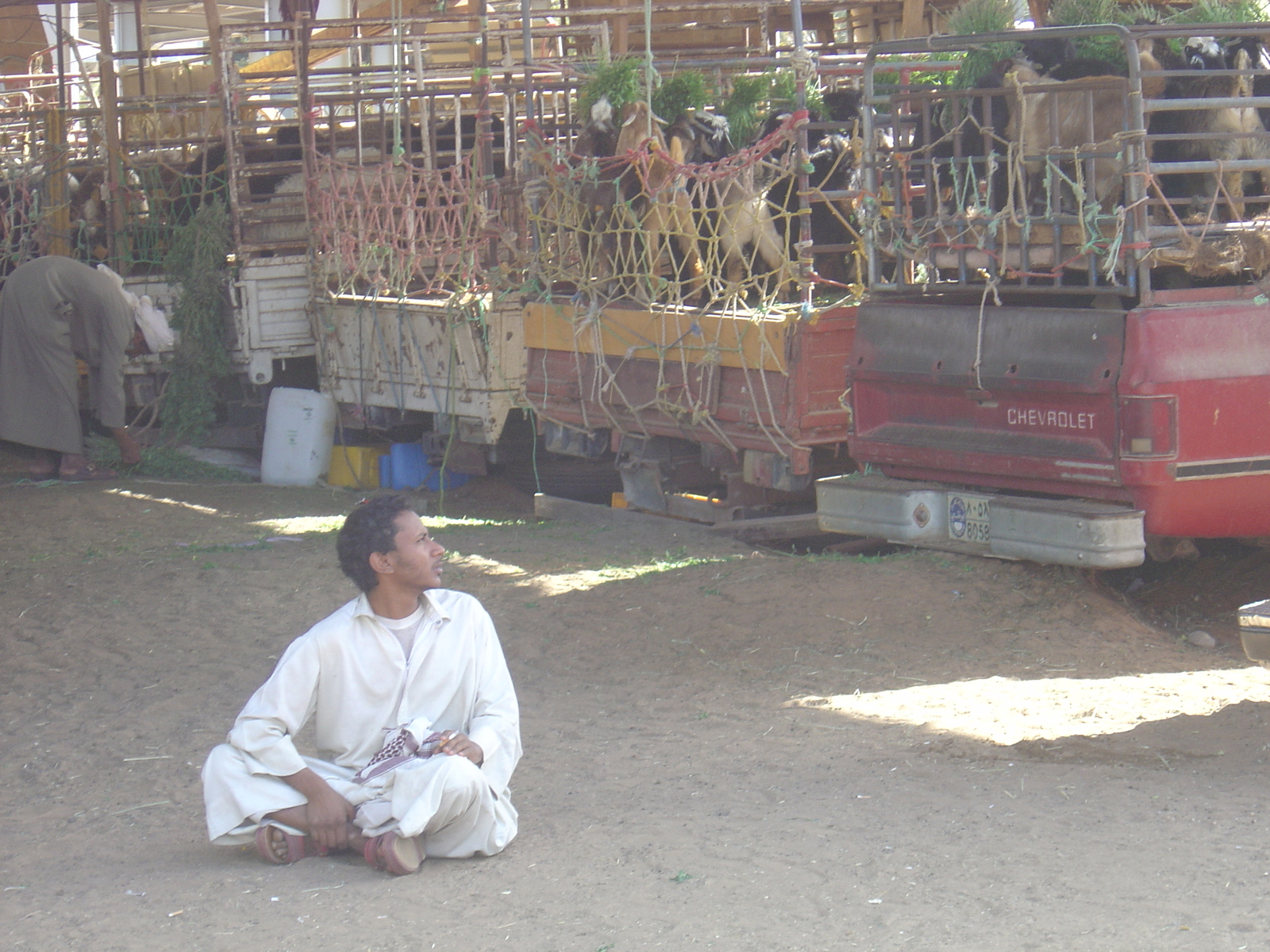 รูปถ่าย สหรัฐอาหรับเอมิเรตส์(United Arab Emirates) อาเลอิน(Al Ain) 2005-03 31