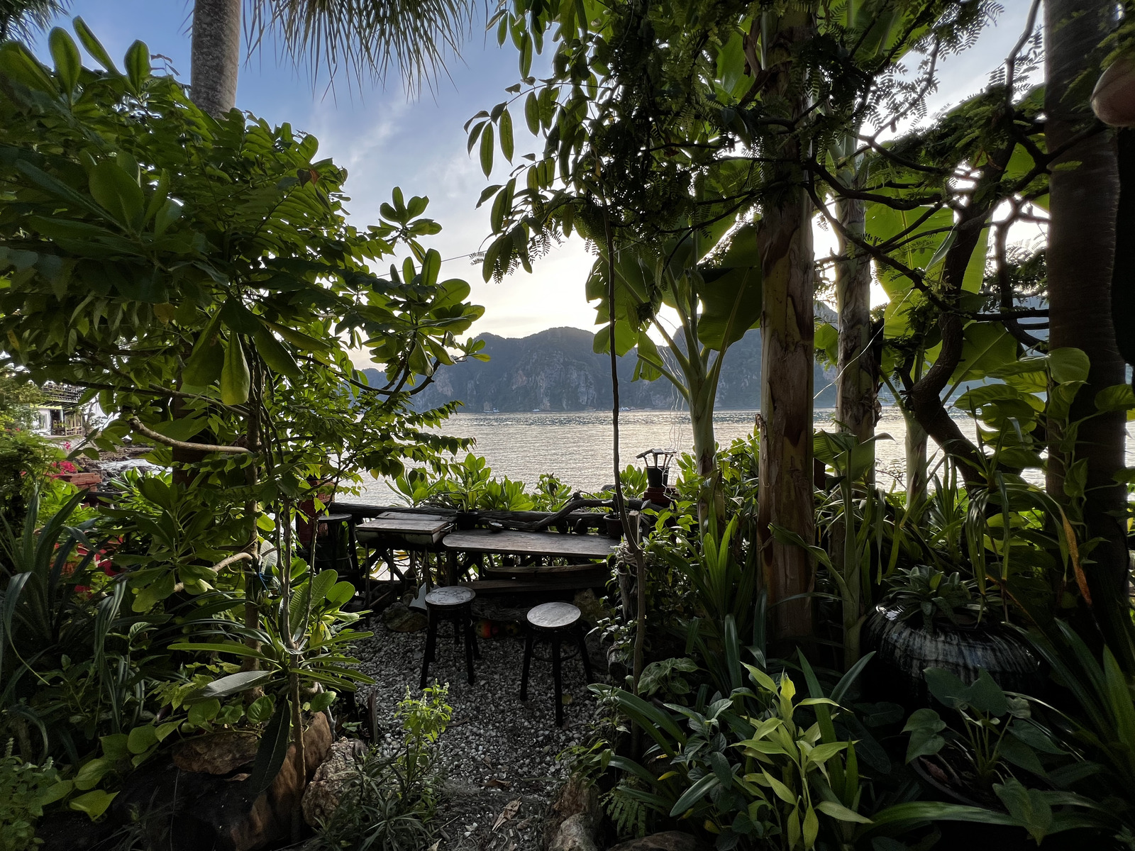 รูปถ่าย ไทย(Thailand) เกาะพีพีดอน(Ko Phi Phi Don) 2021-12 124
