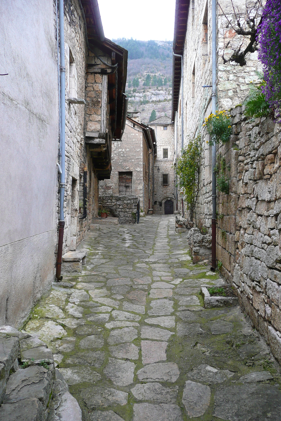 รูปถ่าย ฝรั่งเศส(France) แซ็งเตนีมี(Sainte Enimie) 2008-04 42