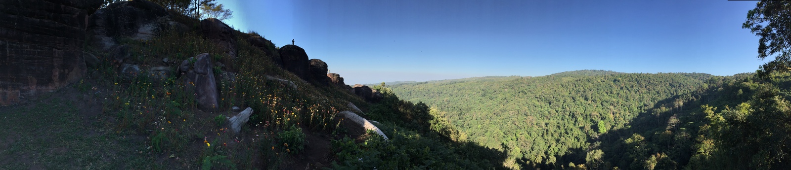 รูปถ่าย ไทย(Thailand) อุทยานแห่งชาติภูหินร่องกล้า(Phu Hin Rong Kla National Park) 2014-12 245