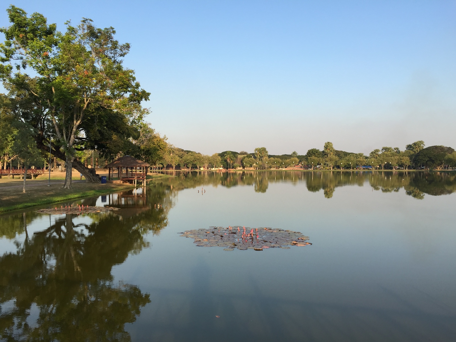 รูปถ่าย ไทย(Thailand) สุโขทัย(Sukhothai) 2014-12 79