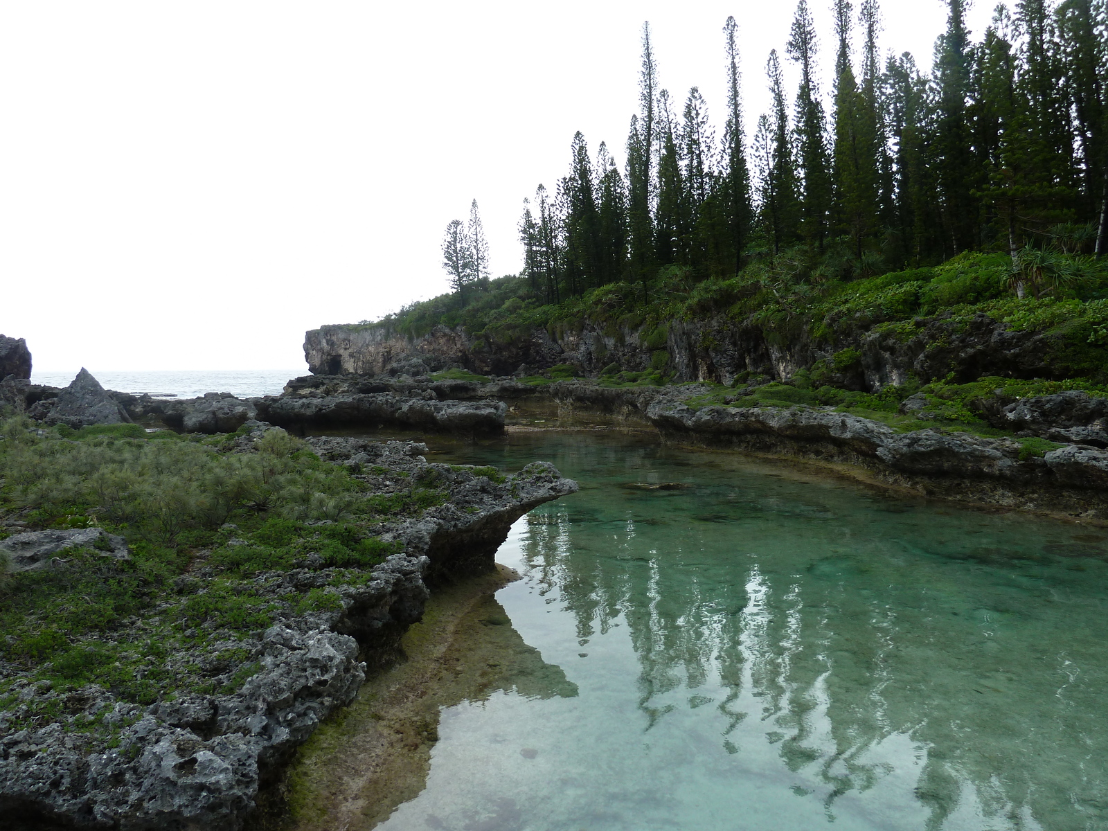 รูปถ่าย นิวแคลิโดเนีย(New Caledonia) เกาะต้นสน(Ile des pins) อ่าวโอโร(Oro Bay) 2010-05 33