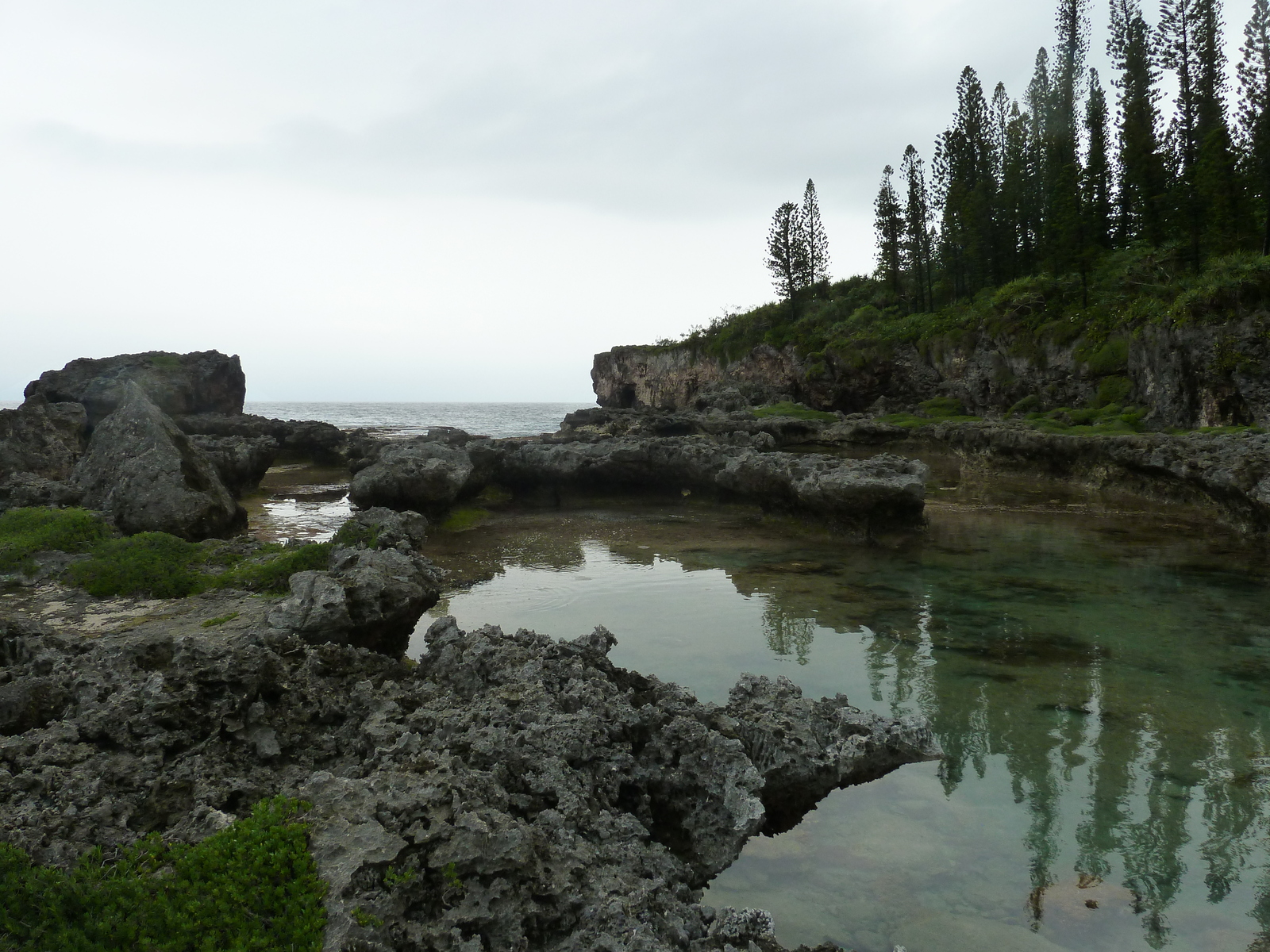 รูปถ่าย นิวแคลิโดเนีย(New Caledonia) เกาะต้นสน(Ile des pins) อ่าวโอโร(Oro Bay) 2010-05 11