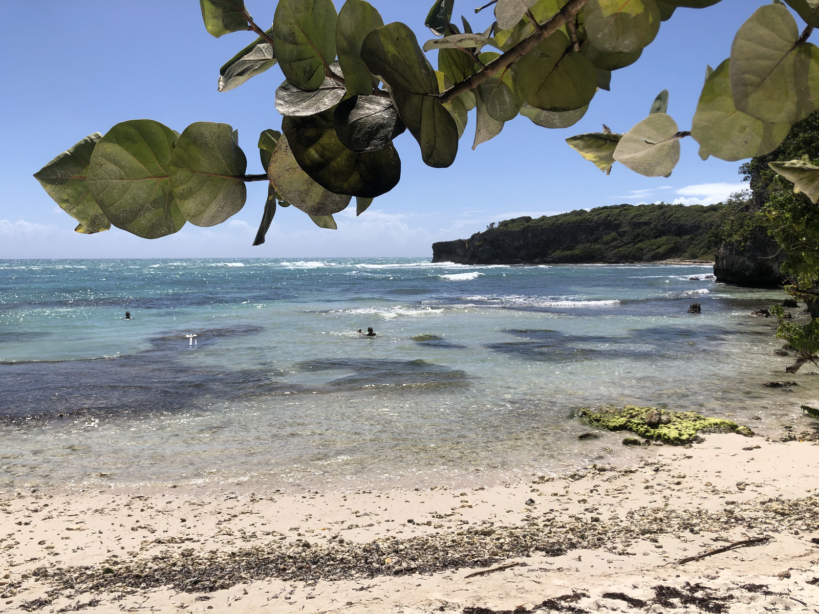รูปถ่าย กวาเดอลูป(Guadeloupe) แหลมคาสเซิลพอยต์(Castle Point) 2021-02 78