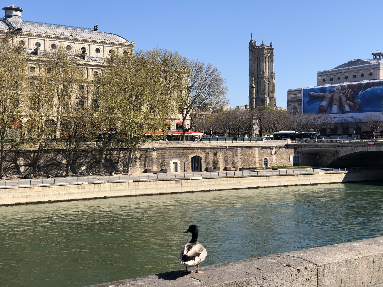 รูปถ่าย ฝรั่งเศส(France) ปารีสช่วงล็อกดาวน์(Paris lockdown) 2020-04 173